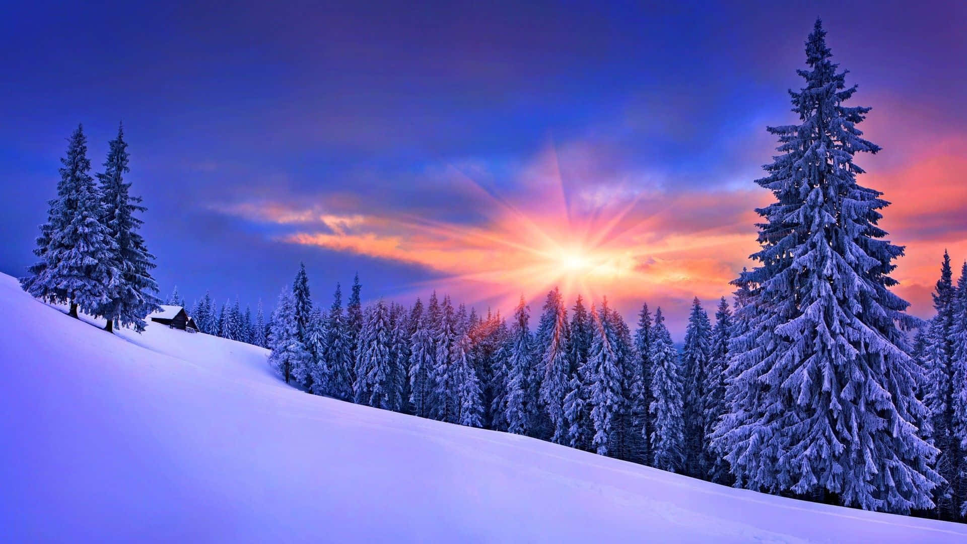享受這份神奇的冬季風景 壁紙 — 日落時分的雪地森林，燦爛的陽光灑落在積雪的松樹和小山上的小屋上。