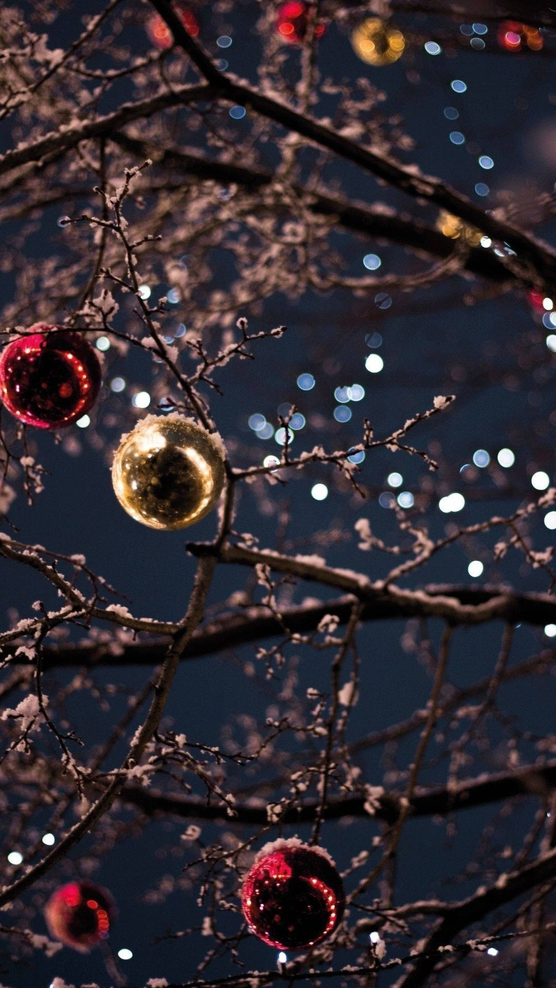 積雪的樹枝上，紅色和金色的裝飾品在夜燈下閃閃發光。
