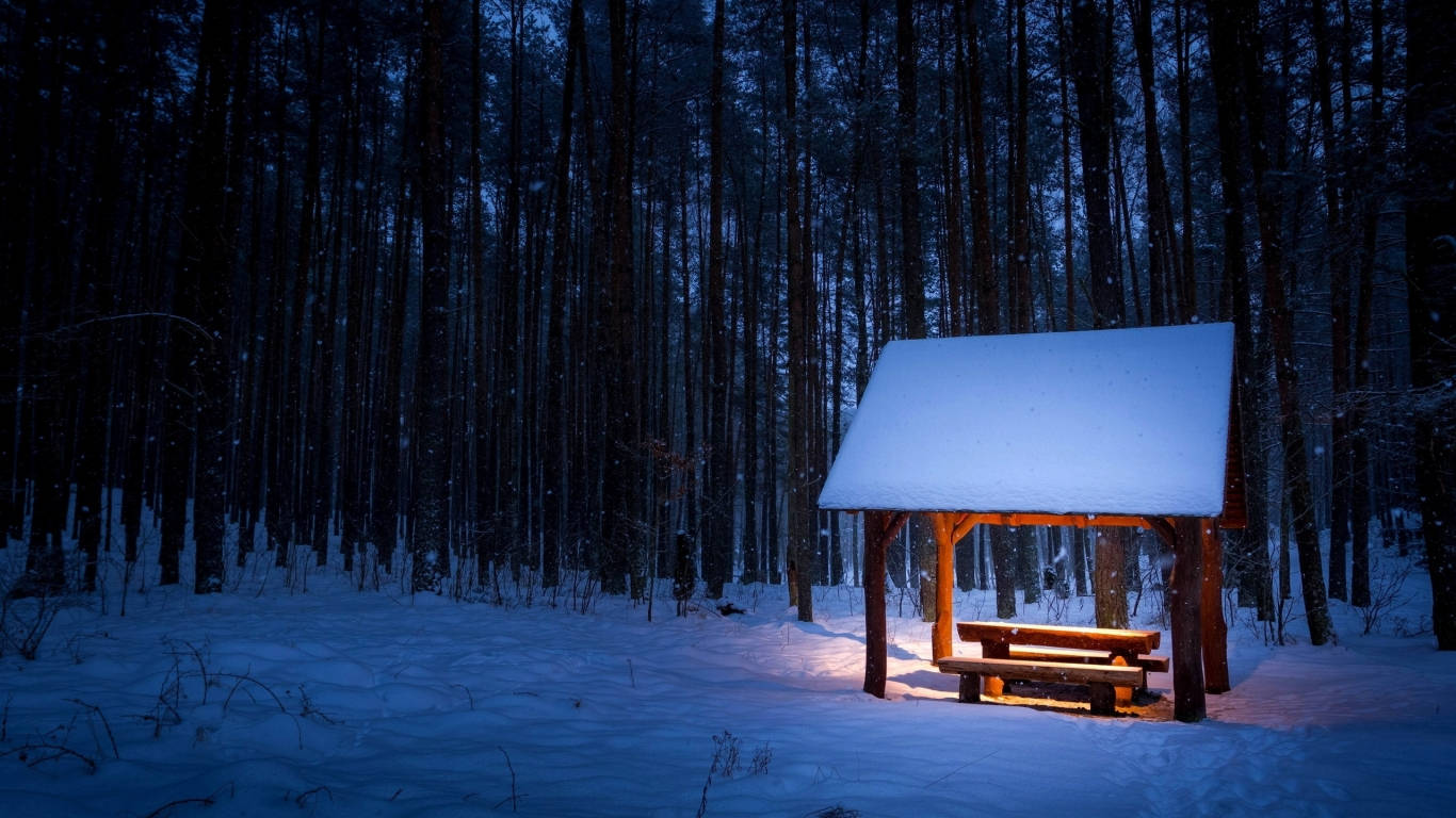 木製 shelter 中的長椅在雪地森林中溫暖地發光。