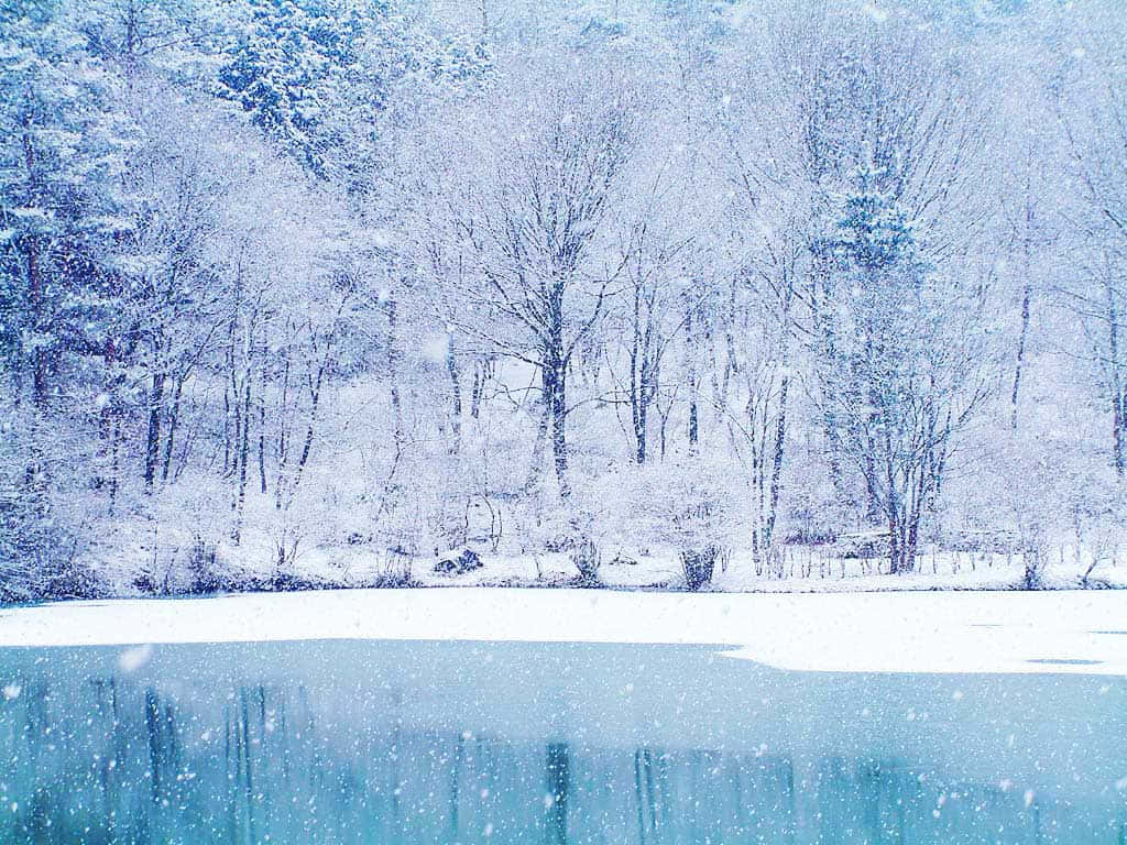 白雪覆蓋的樹木和冰凍的湖面，雪花飄落