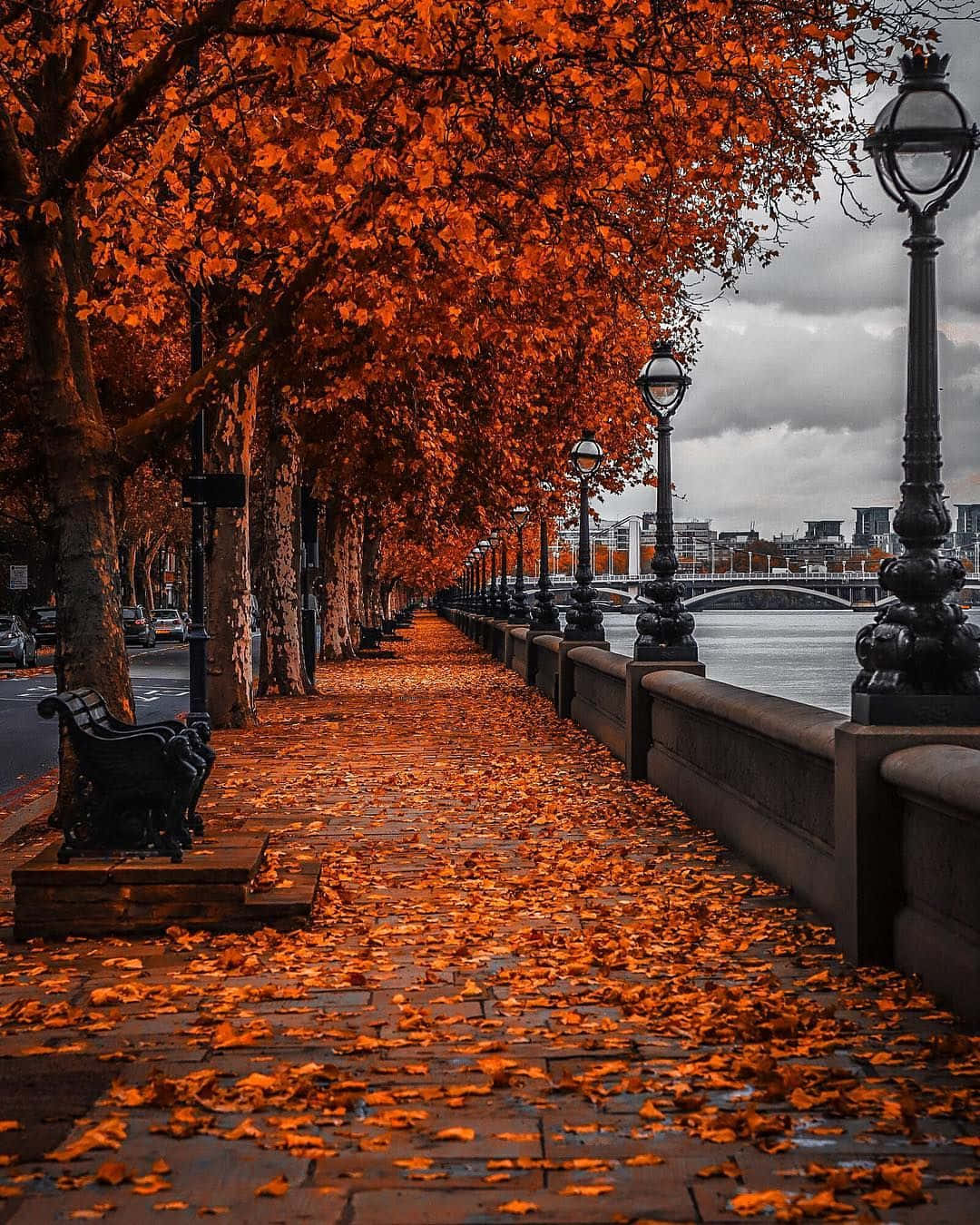 享受金色秋日的美好時光 壁紙 — 一條鵝卵石小徑，兩旁種滿火紅橙色的秋樹和復古路燈，在陰沉的灰色天空下通往一條河流。