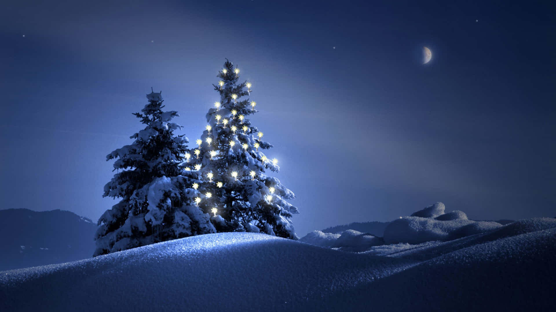 新月和星星下帶燈飾的雪松