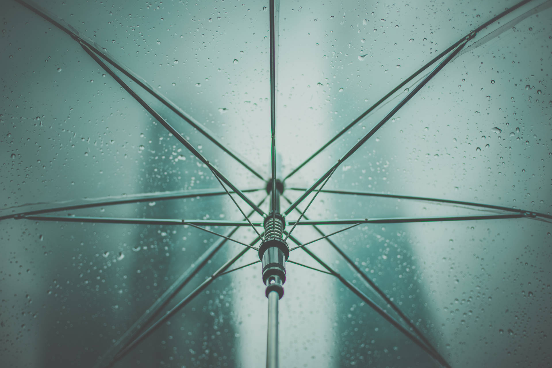 從透明雨傘下方觀看，傘面上有雨滴。