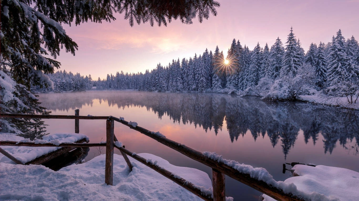 日出時分的雪地冬日湖景，有松樹和木柵欄。