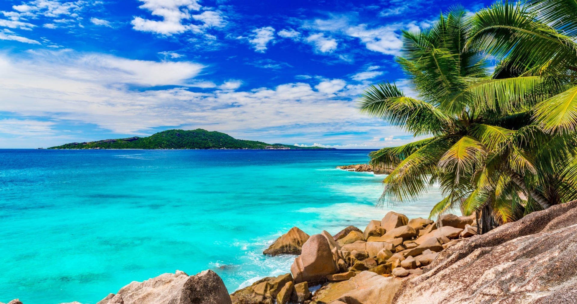 陽光明媚的天空下，熱帶海灘上有碧綠的海水和棕櫚樹。