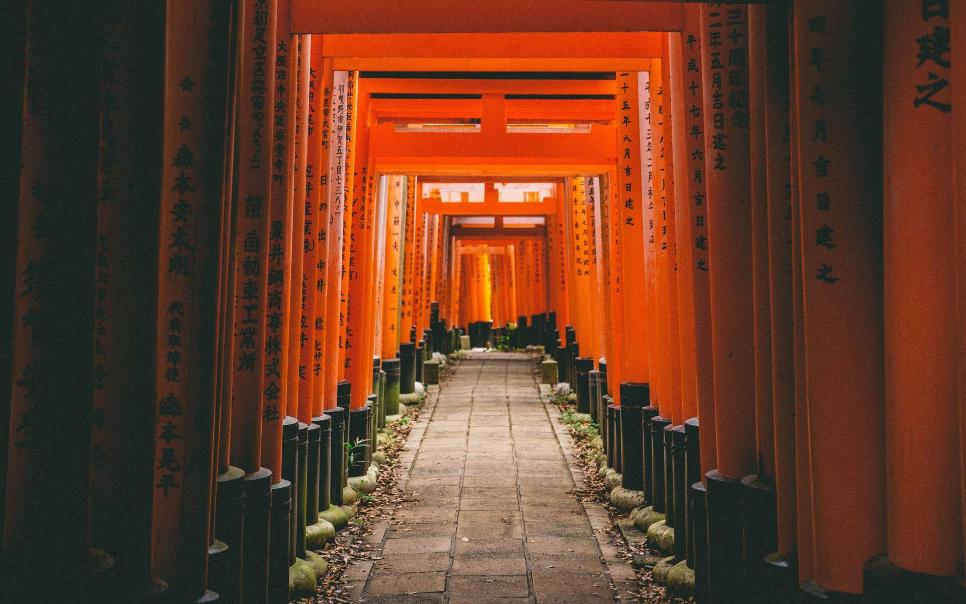一條兩旁排列著紅色鳥居的小路，通往發光的神社入口。