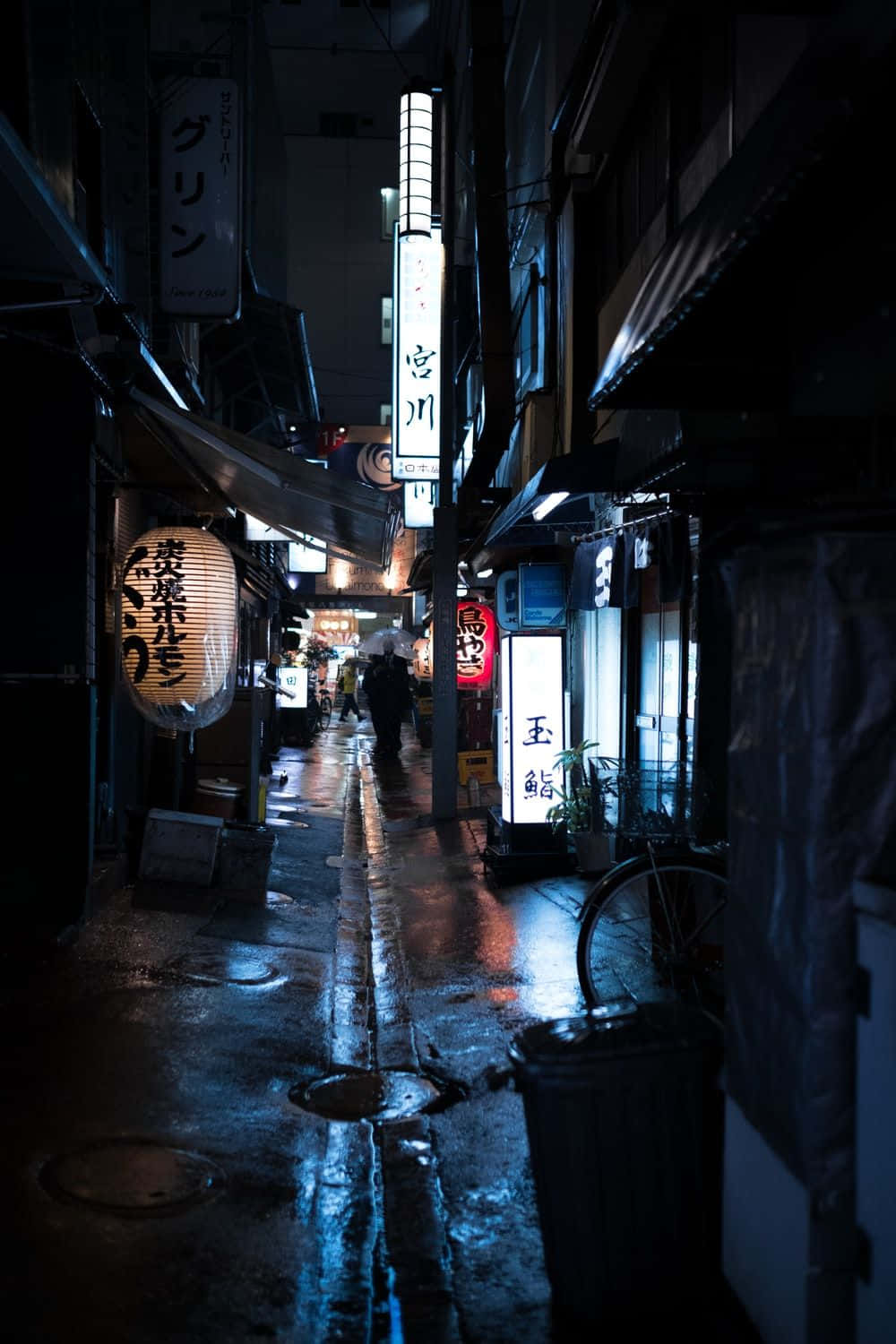 雨濕的夜晚小巷，發光的霓虹燈招牌和燈籠倒影在濕漉漉的路面上。