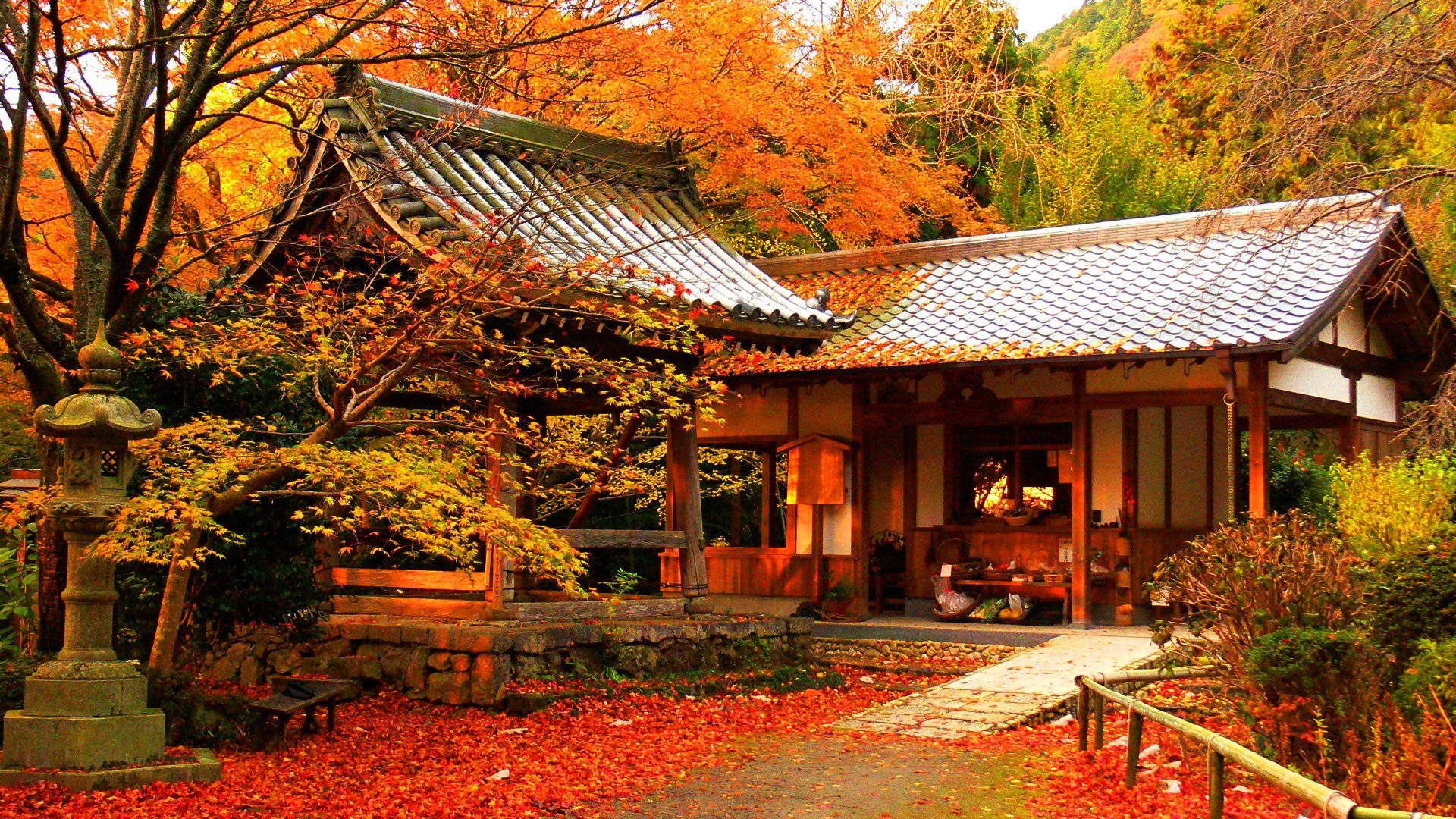 秋天的日本寺廟，地上有紅葉，周圍有橙色的樹木。