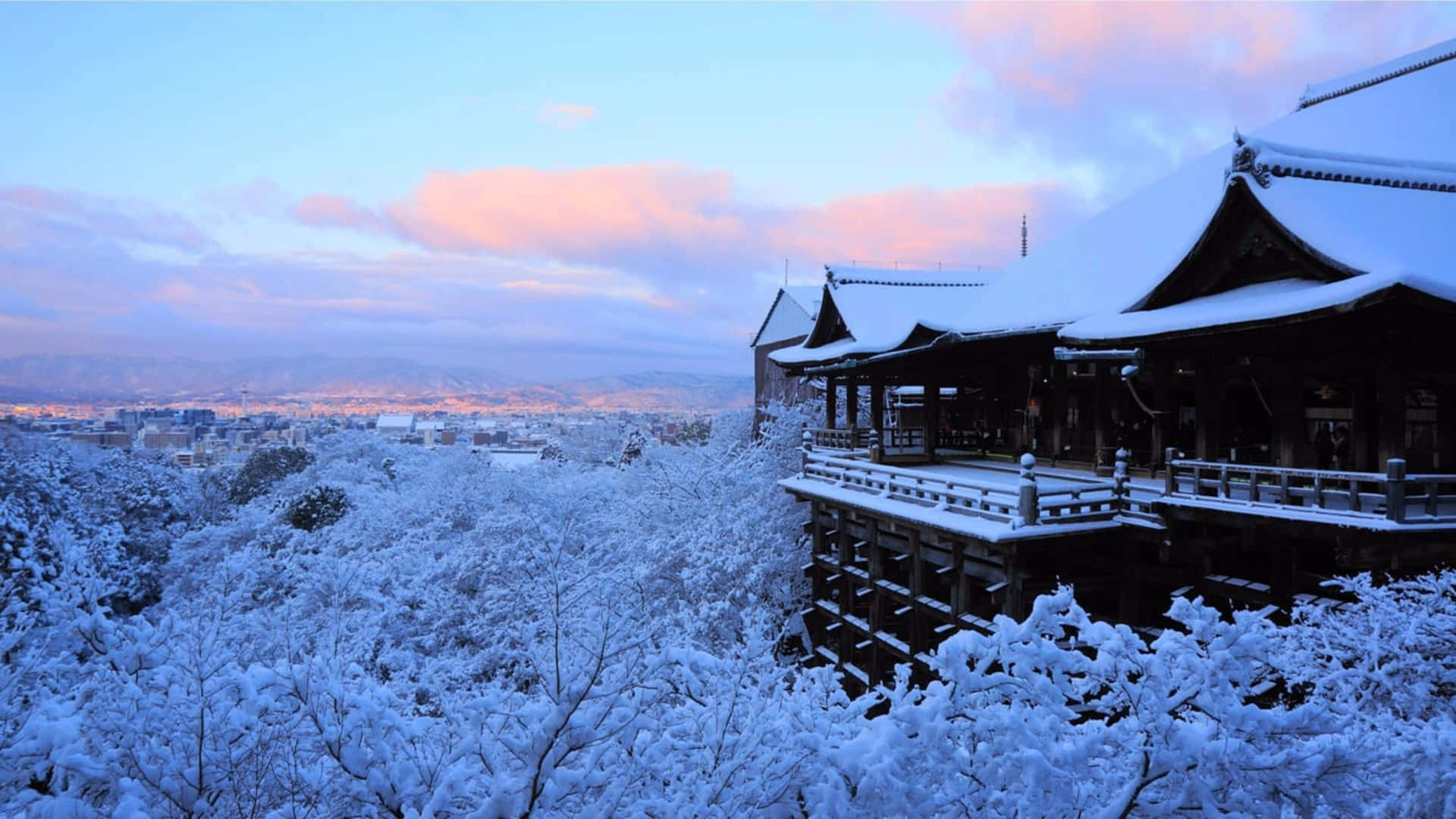 雪寺俯瞰櫻花樹和暮色中的城市。