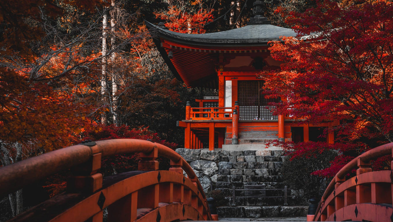紅色日本神社，周圍環繞著充滿活力的秋葉和一座木橋。