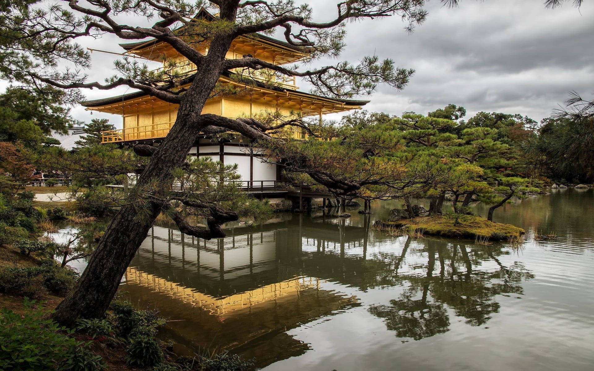 金色寶塔倒映在池塘中，前景有松樹，陰天。