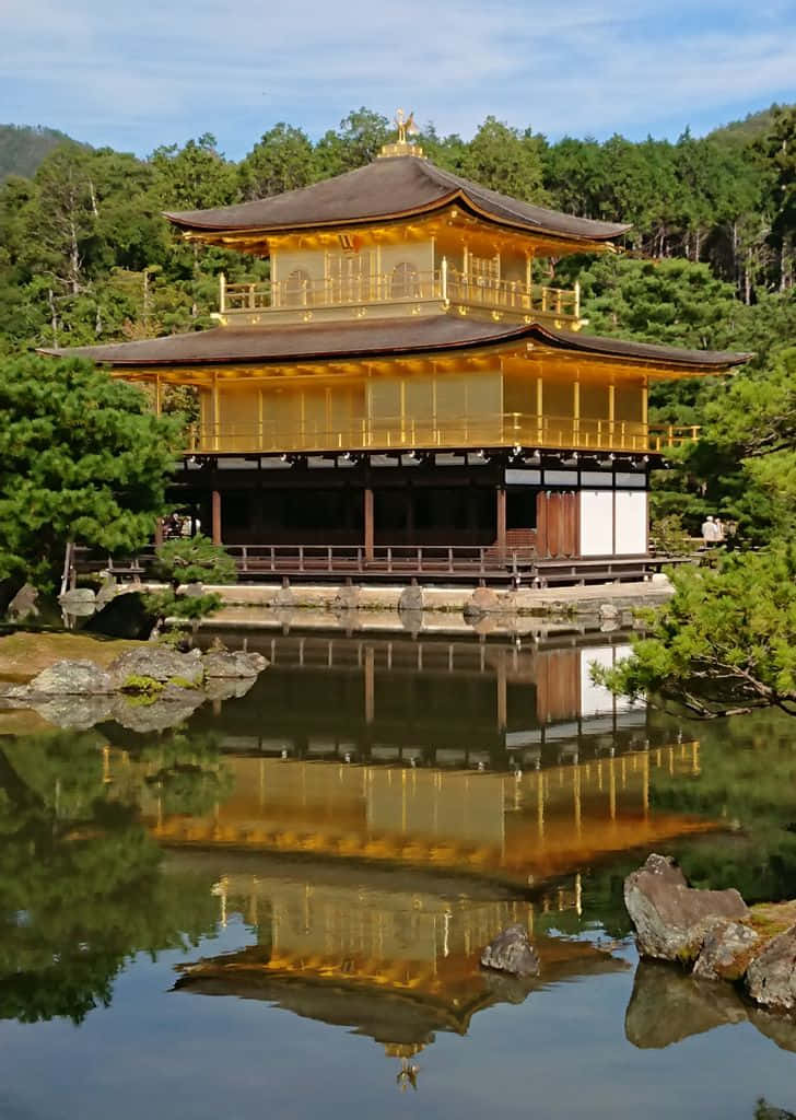 京都金閣寺的壯麗風景 壁紙 — 金色的金閣寺完美地倒映在平靜的池塘中，四周環繞著茂密的綠樹，頭頂是清澈的藍天。