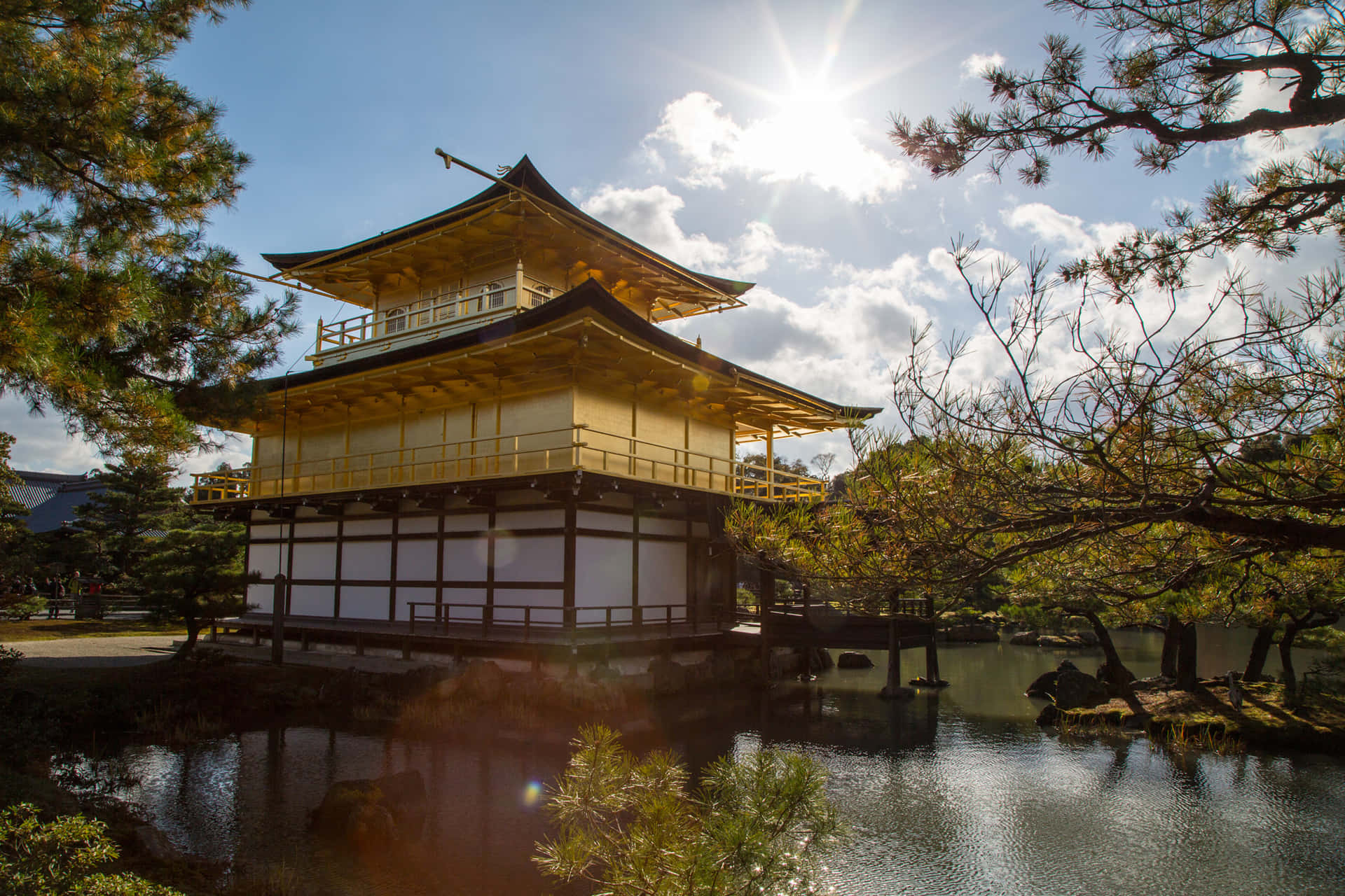 京都金閣寺的壯麗風景 壁紙 — 金色亭閣寺廟在陽光下透過松樹枝閃耀，倒映在平靜的池塘水中。