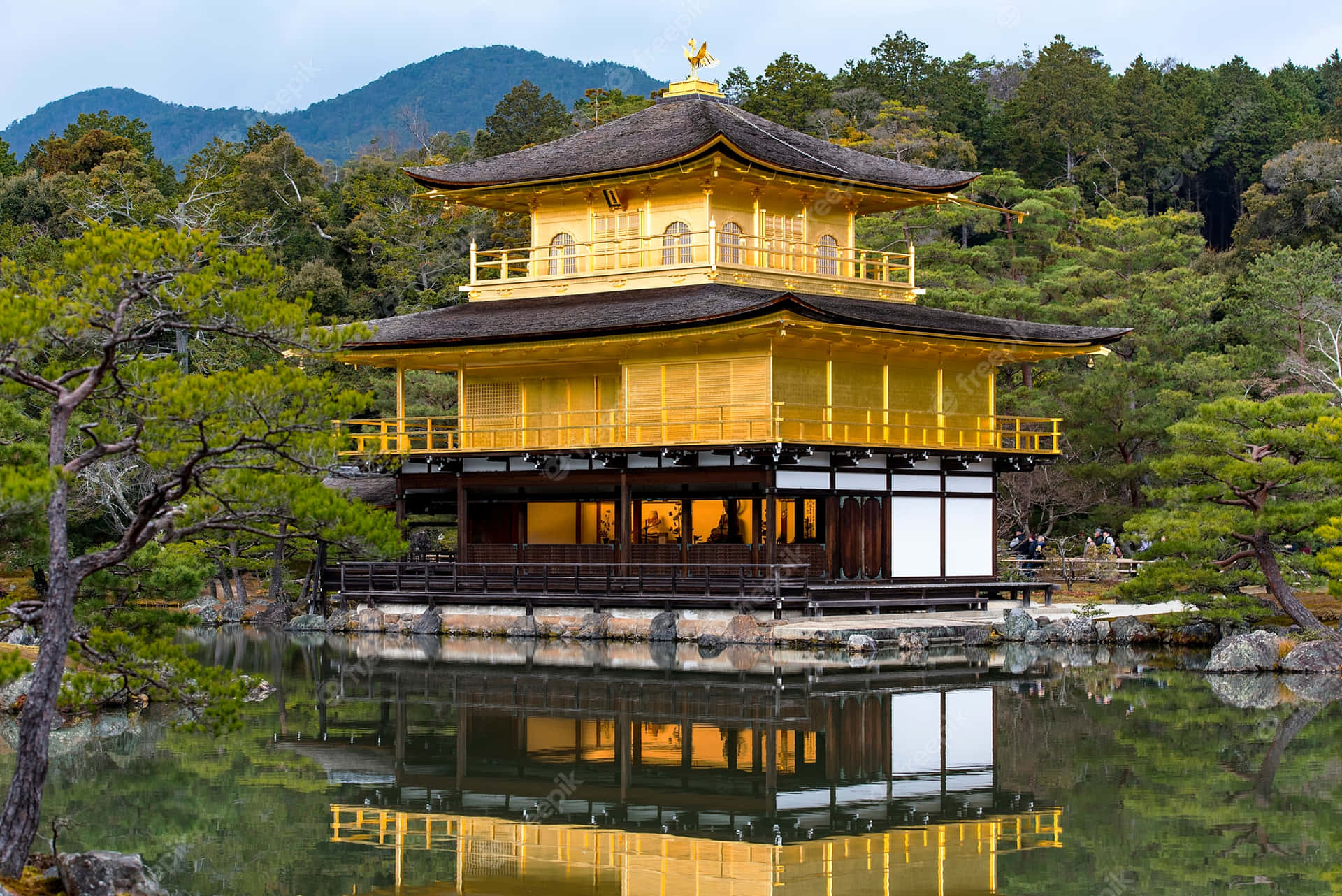京都金閣寺的壯麗風景 壁紙