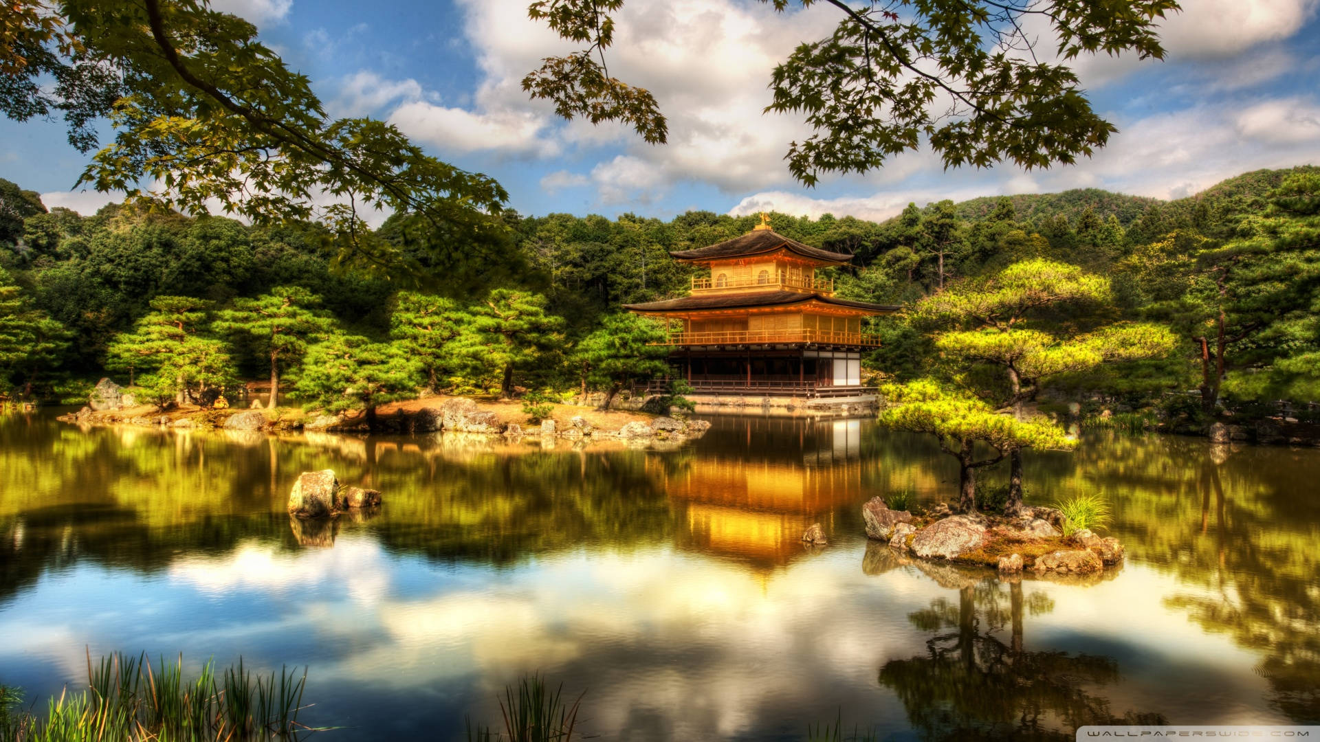 金色寺廟倒映在平靜的池塘中，伴隨著綠樹和藍天