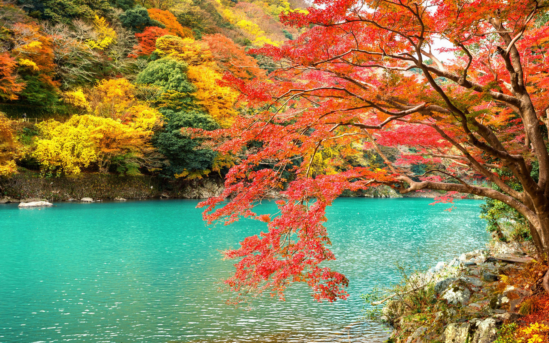 帶有紅色、黃色和綠色葉子的秋樹框住寧靜的碧綠湖泊。