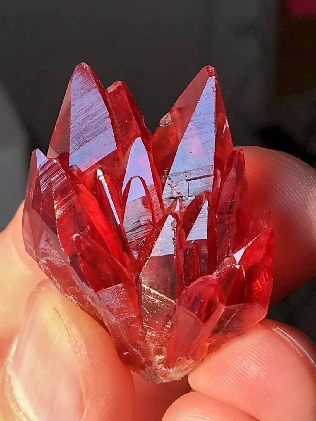手拿著一個紅色水晶簇，其鋒利切面反射光線。