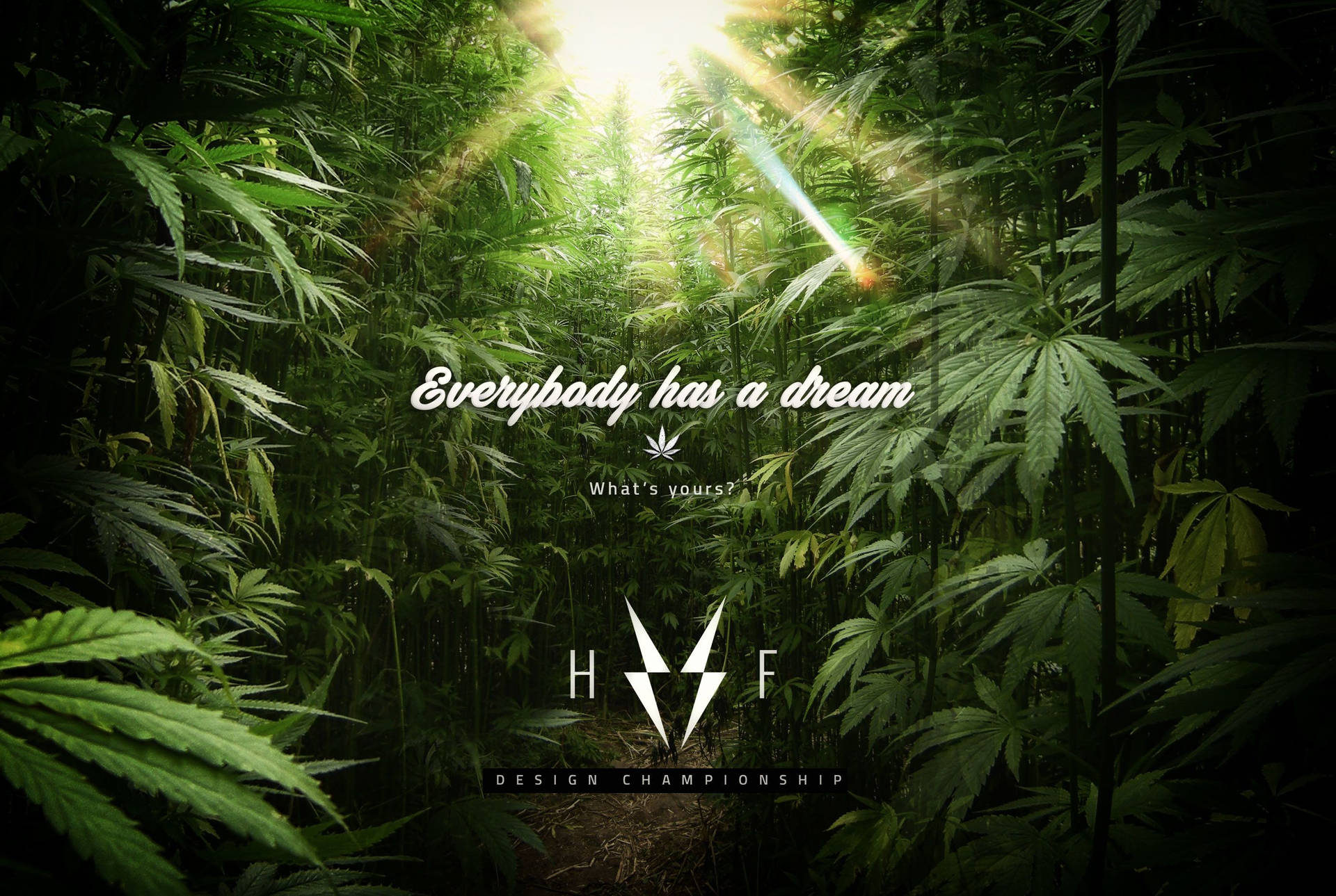 陽光透過高大的大麻植物，帶有鼓舞人心的文字疊加。