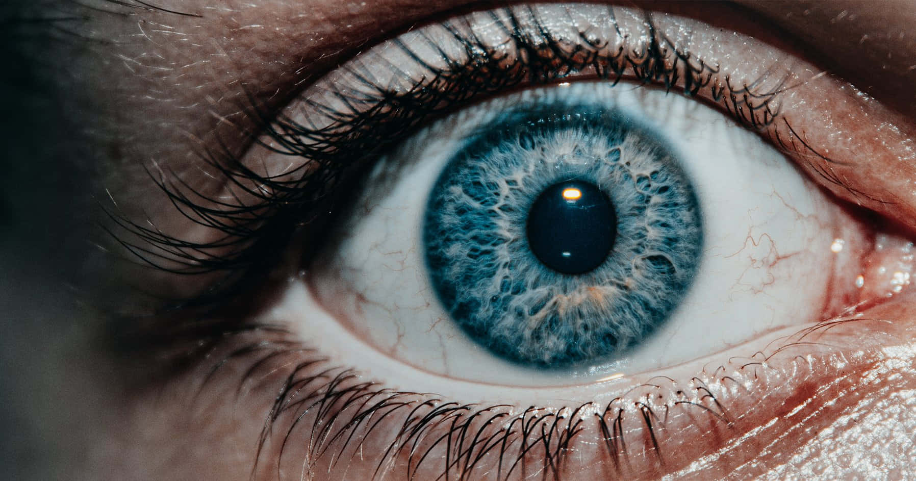 人類眼睛的特寫，帶有詳細的藍色虹膜和可見的睫毛。