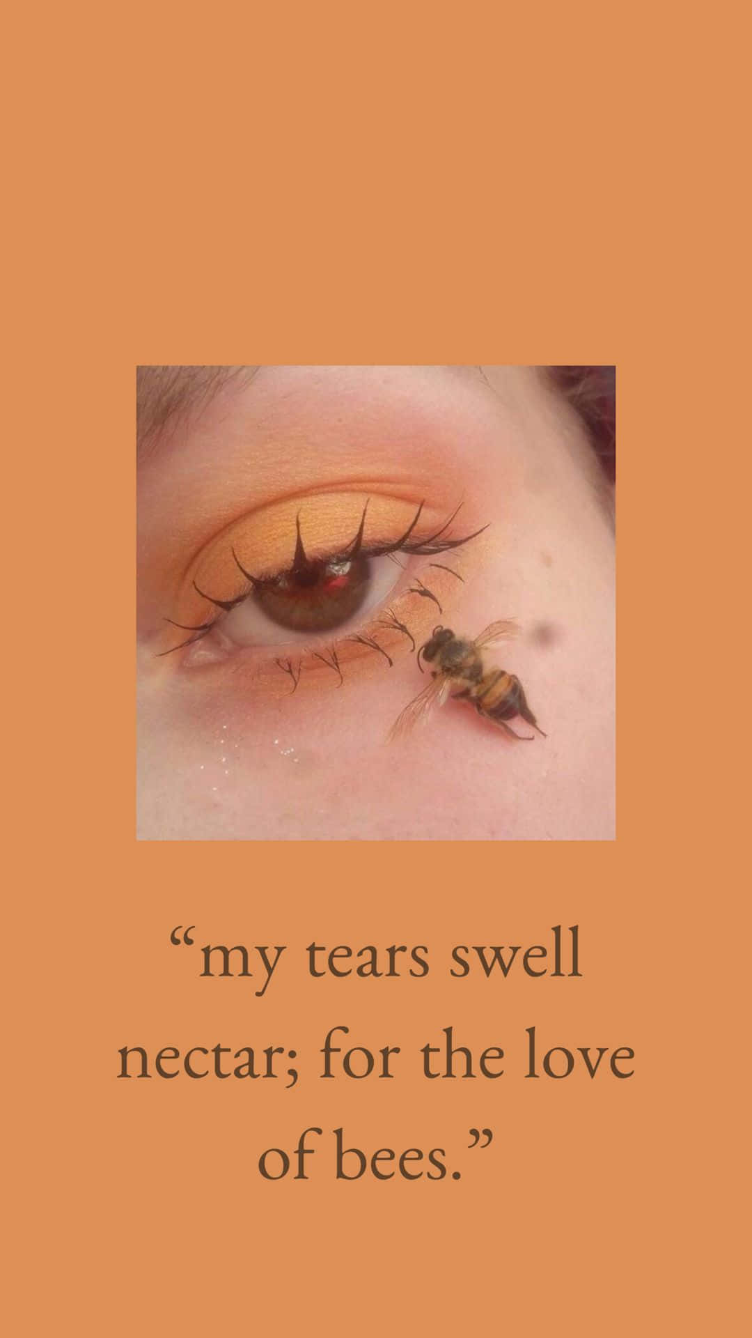 Aesthetic Bee 桌布 壁紙 — 人類眼睛嘅特寫，有一隻蜜蜂喺下睫毛線附近休息，背景係純橙色。