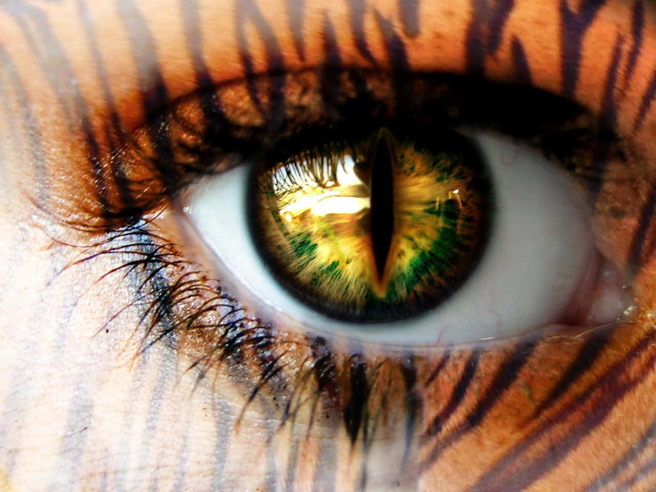 Eyes 桌布 壁紙 — 人類眼睛嘅特寫，有綠色同金色嘅虹膜，周圍係老虎紋化妝。