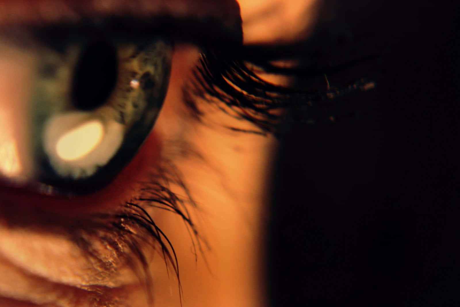 Eyes 桌布 壁紙 — 人類眼睛的特寫，具有綠色虹膜和長睫毛，在黑暗背景下被溫暖的金色光線照亮。