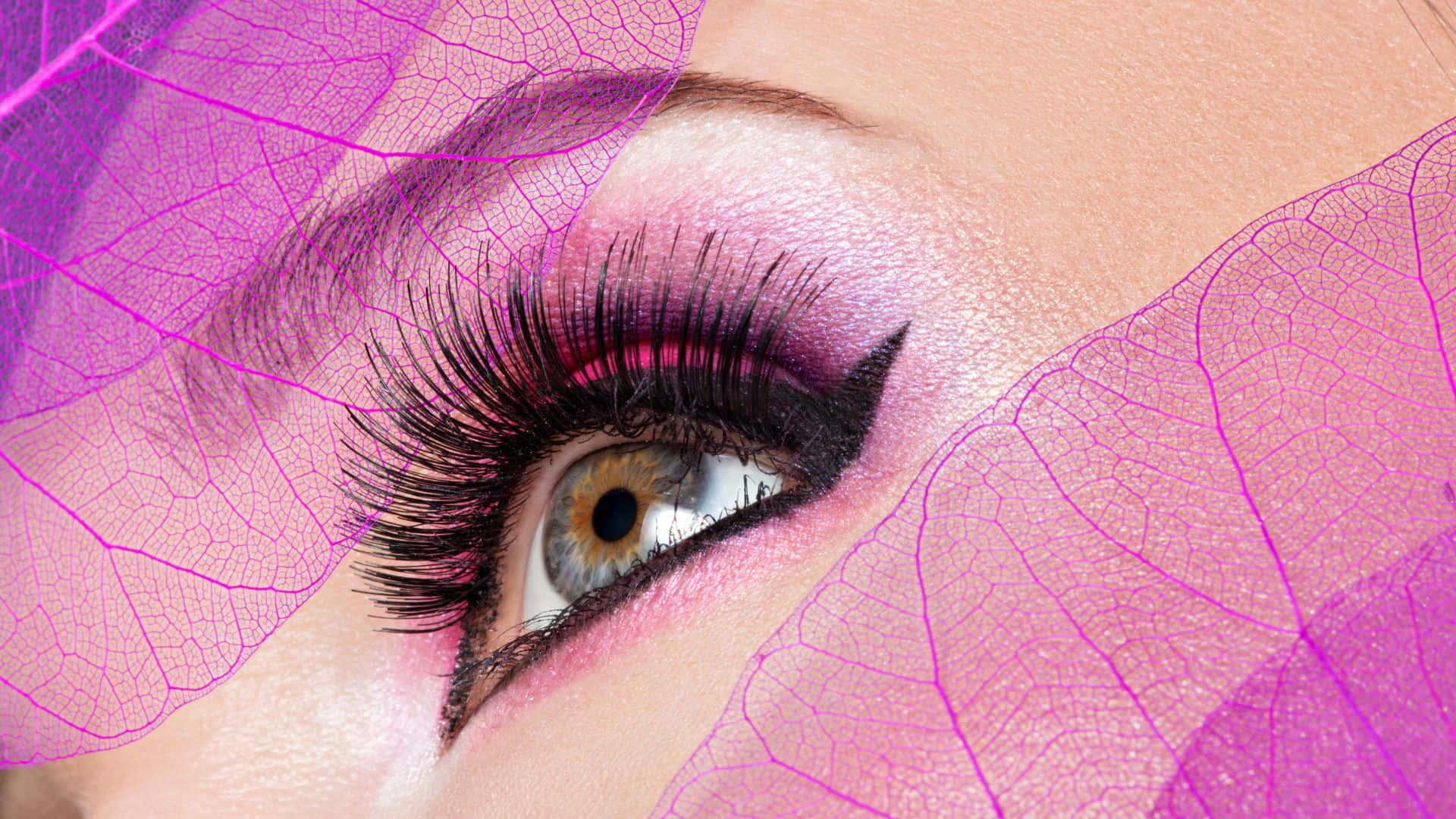 Pink Makeup 桌布 壁紙 — 人類眼睛的特寫，帶有戲劇性的黑色睫毛和粉紅色眼影，並以半透明的紫色葉子框住。