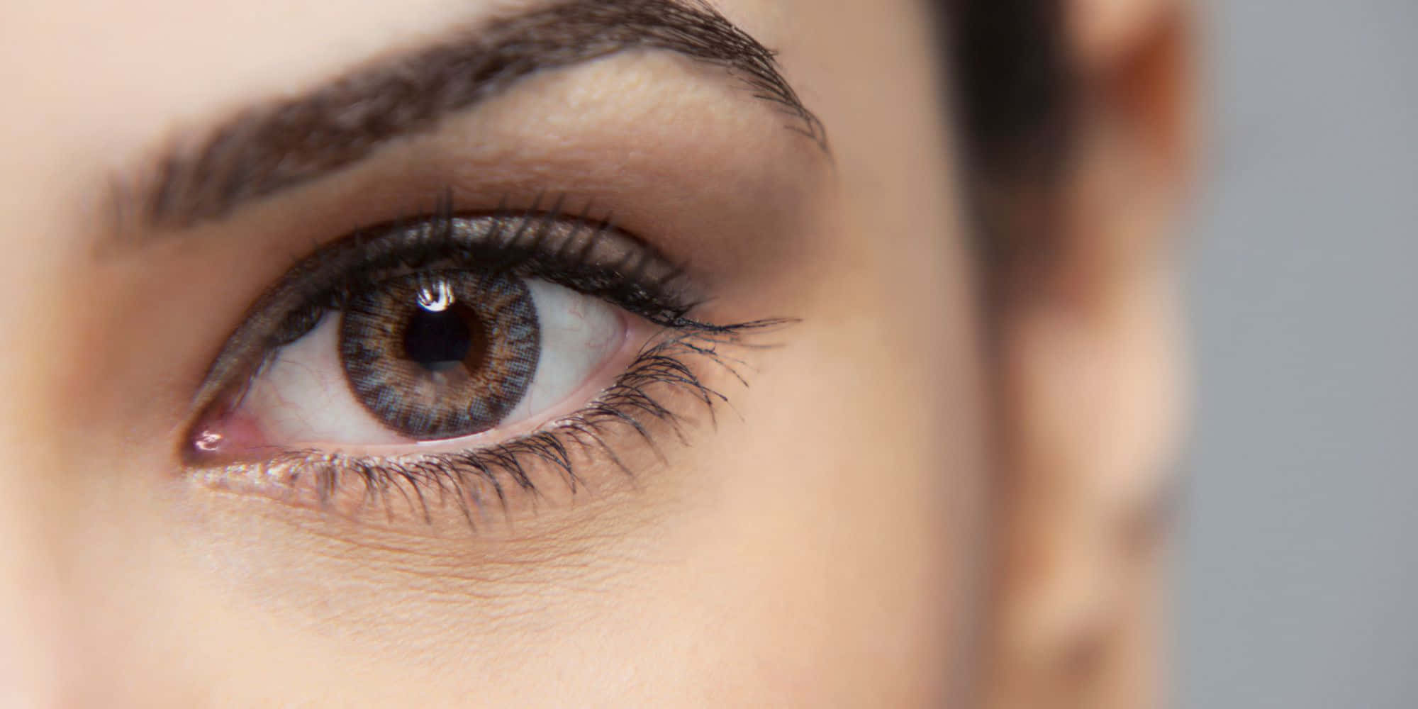 Eyes 桌布 壁紙 — 人類眼睛的特寫，帶有細緻的睫毛和棕色虹膜，背景為柔和的灰色。