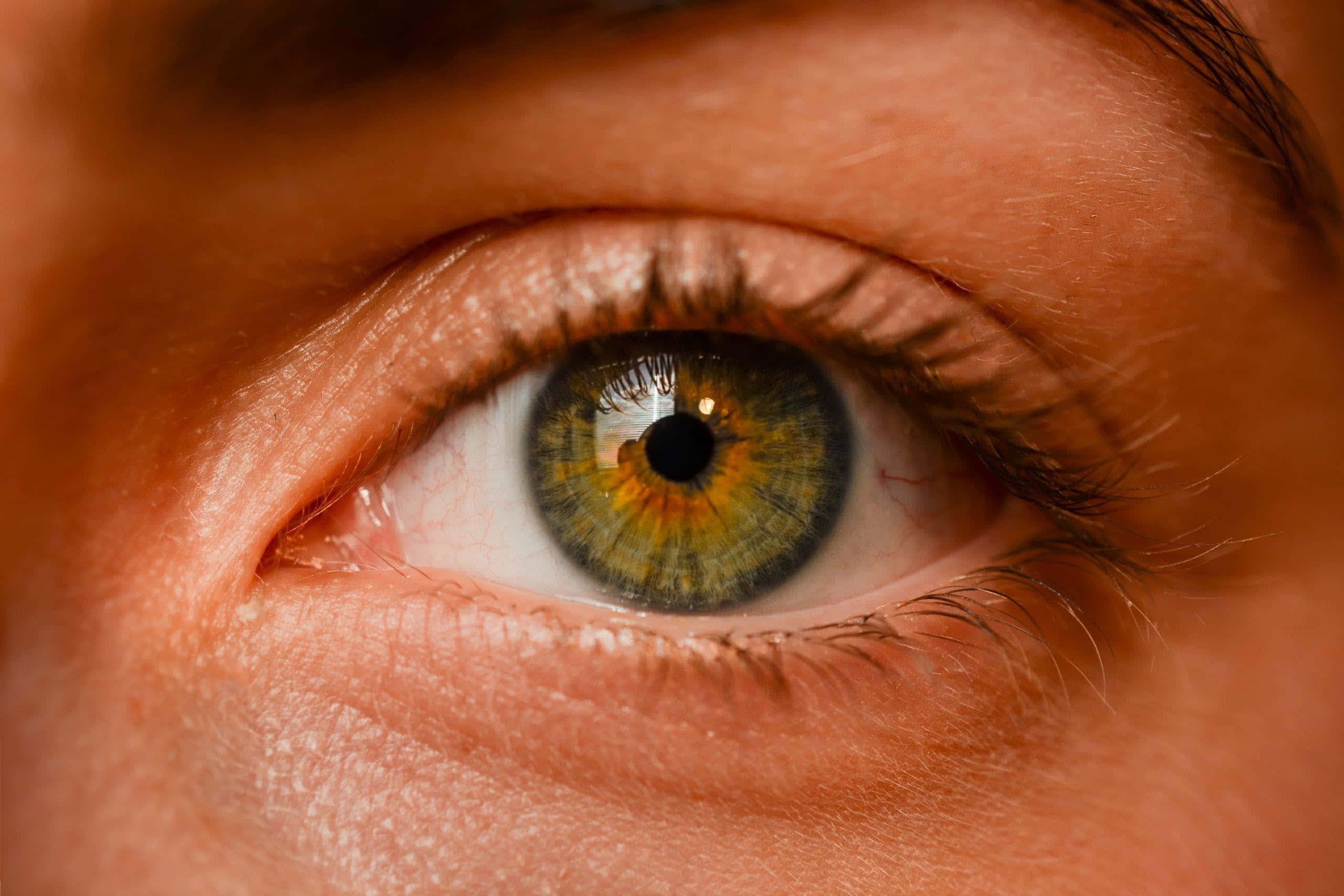 Eyes 桌布 壁紙 — 人類眼睛的超現實特寫，帶有複雜的綠色和金色虹膜細節及溫暖光線。