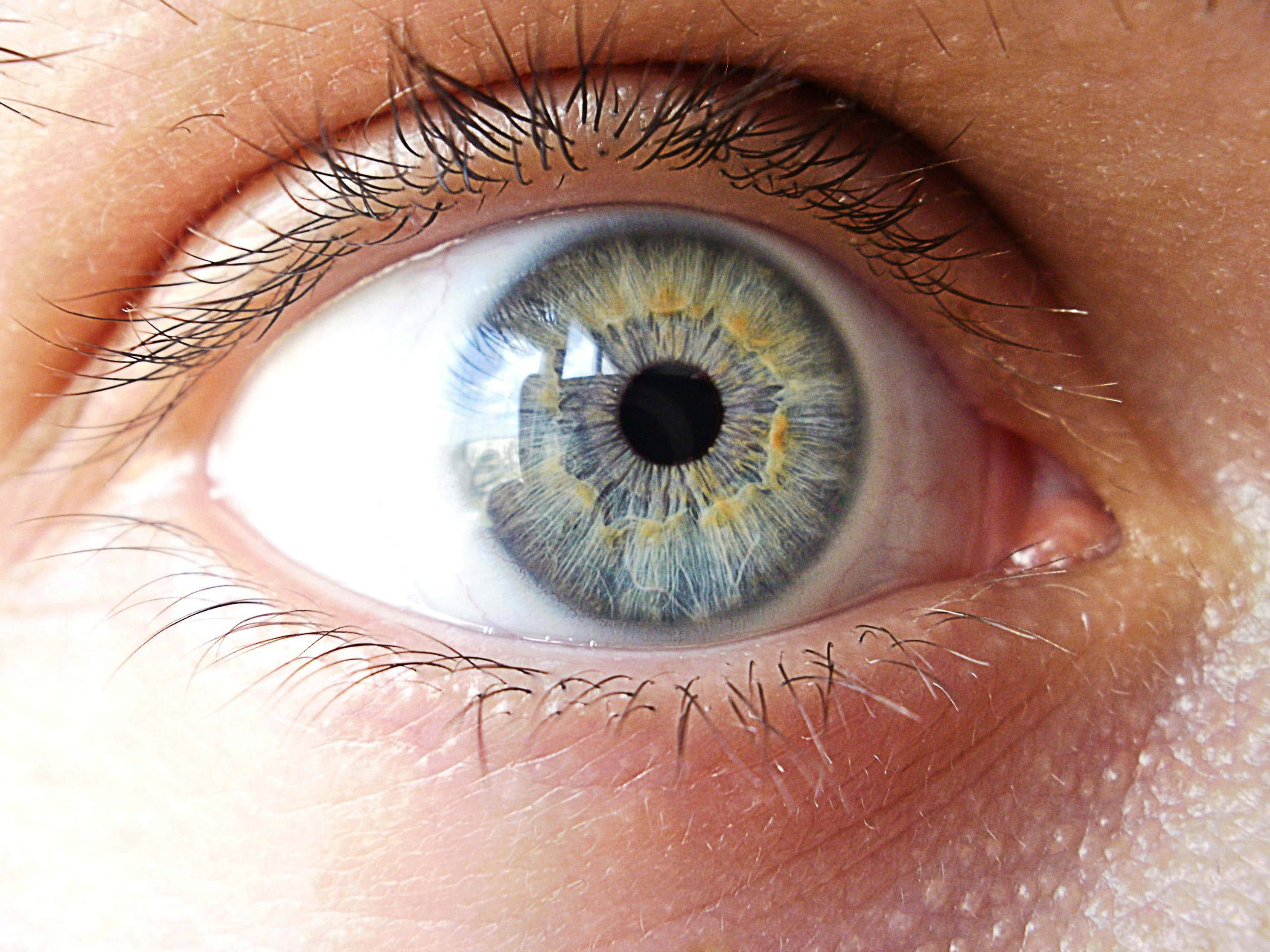 Eyes 桌布 壁紙 — 人類眼睛的超現實特寫，帶有複雜的藍色和金色虹膜圖案以及詳細的睫毛。