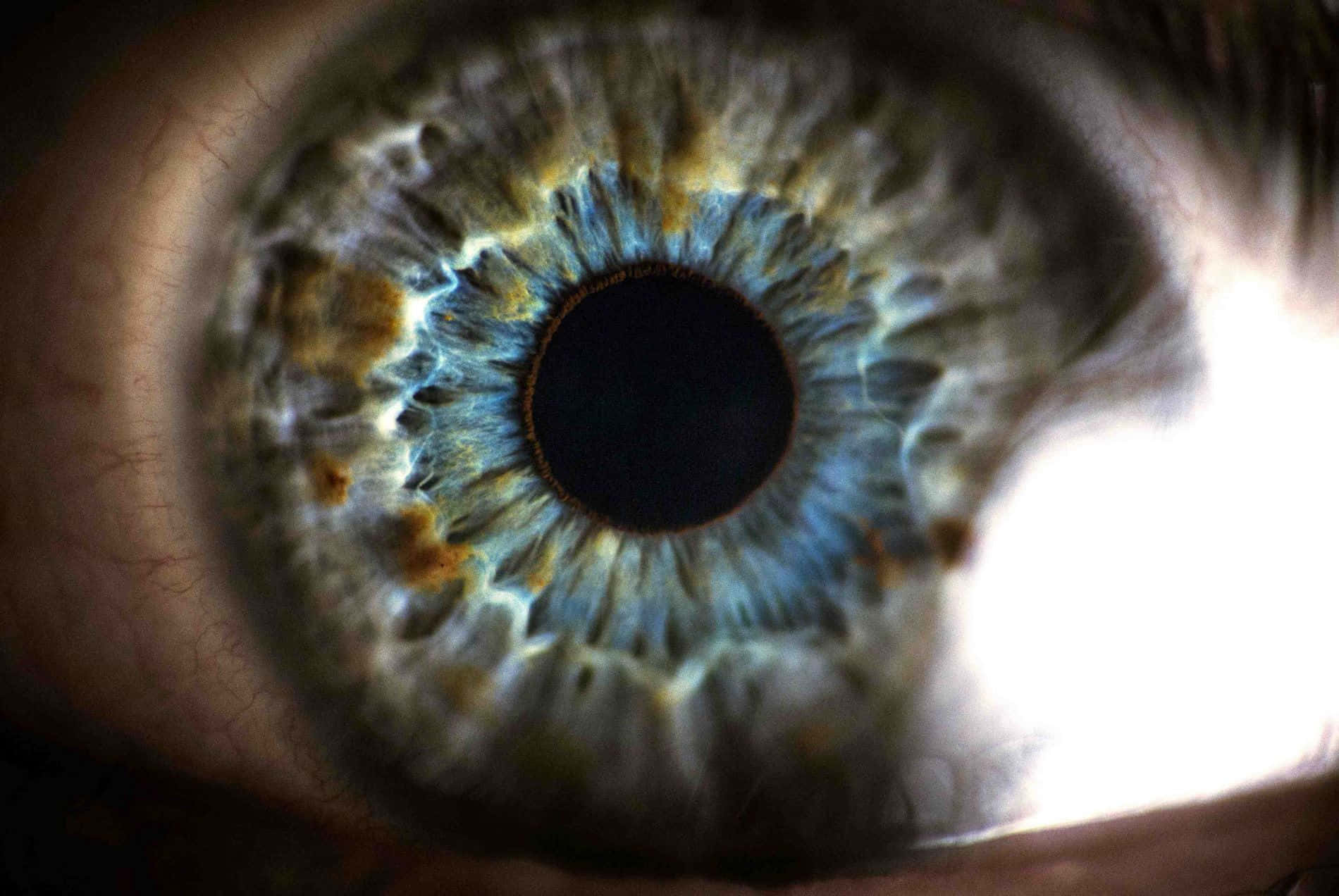 人類眼睛的特寫，帶有藍色、綠色和金色虹膜圖案和明亮的光暈。