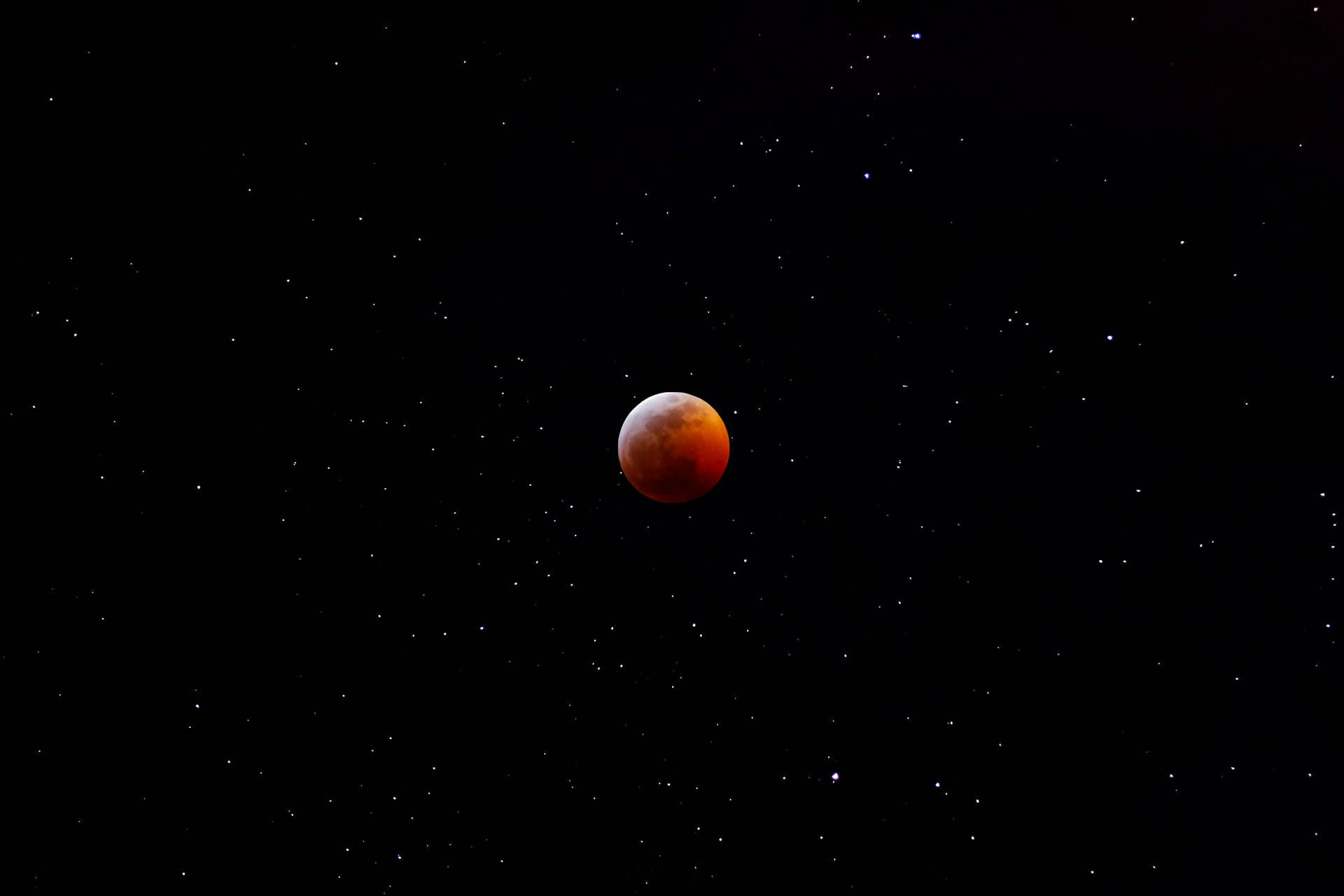 血月在繁星點點的夜空中發光