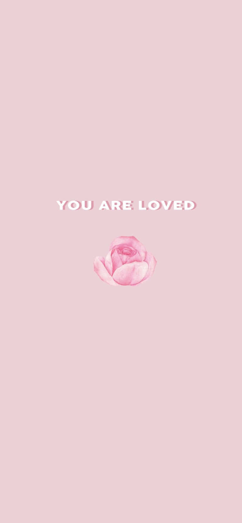 粉紅玫瑰搭配「YOU ARE LOVED」文字，背景為柔和粉紅色。