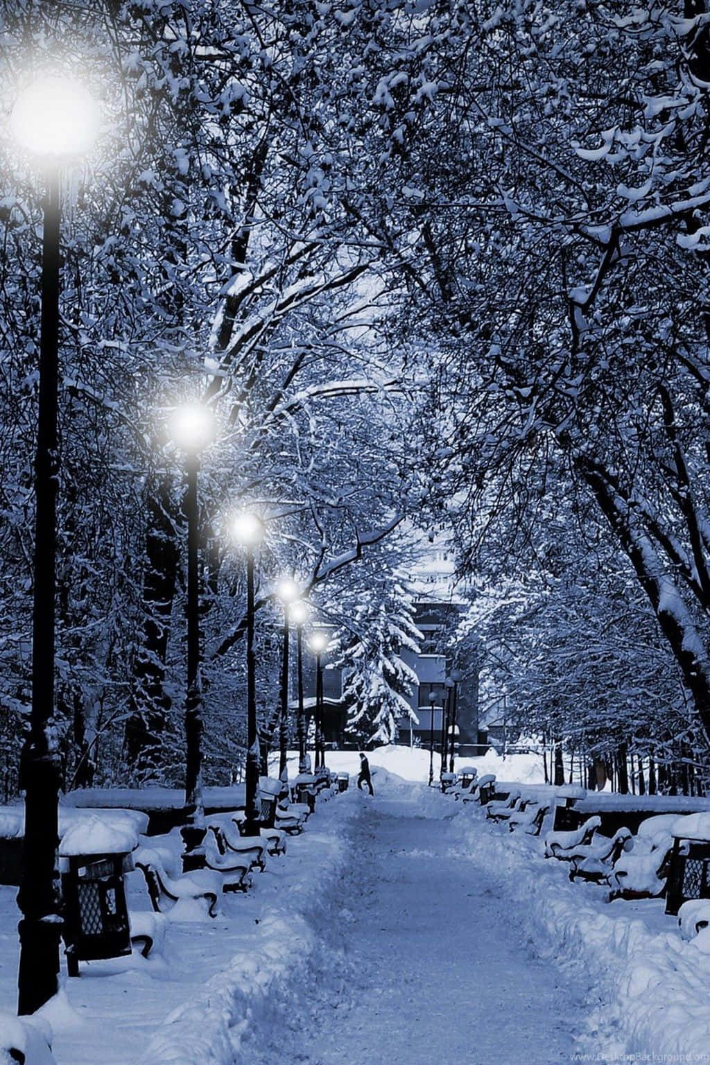 夜晚積雪的公園小徑，發光的街燈和孤獨的步行者。