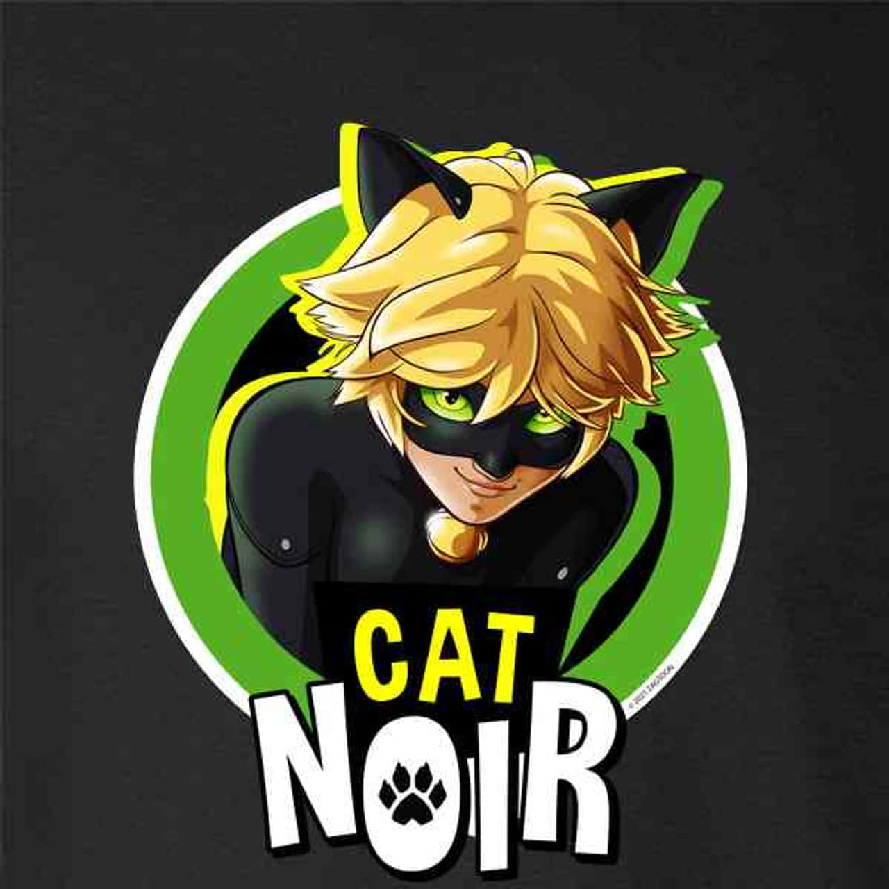 Cat Noir動漫角色，身穿黑色西裝，綠色眼睛和貓耳，位於綠色圓形標誌內。