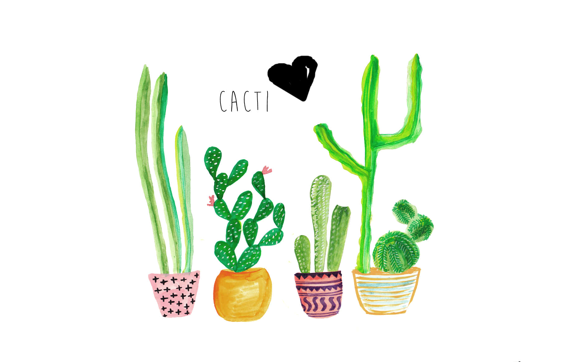 五盆仙人掌插圖，配有彩色圖案花盆，以及「cacti」字樣上方有一個黑色心形。