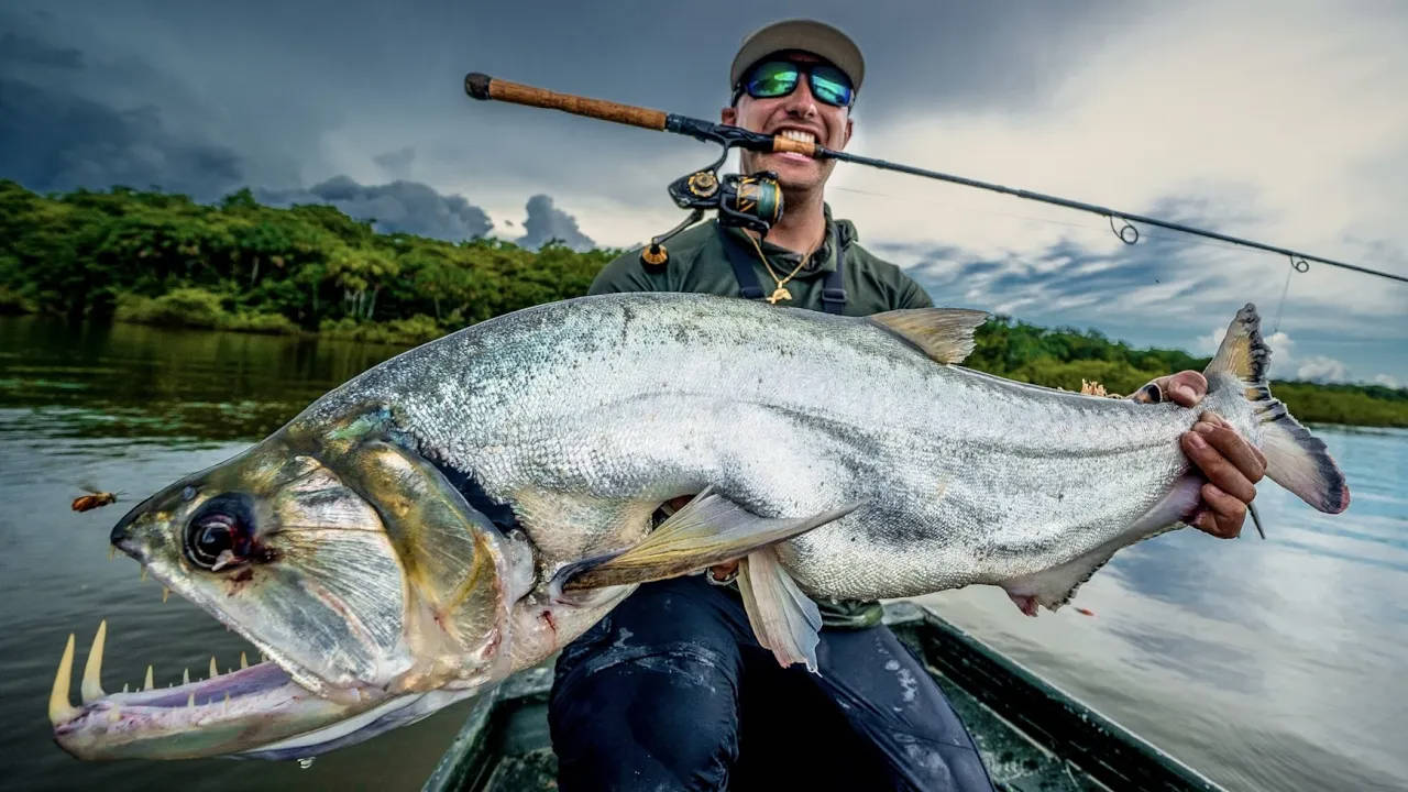 令人印象深刻的大型黑鱒魚 壁紙 — 一名漁夫在船上自豪地舉起一條巨大的銀色食人魚，魚的尖牙在陰雲密布的河流背景下清晰可見。