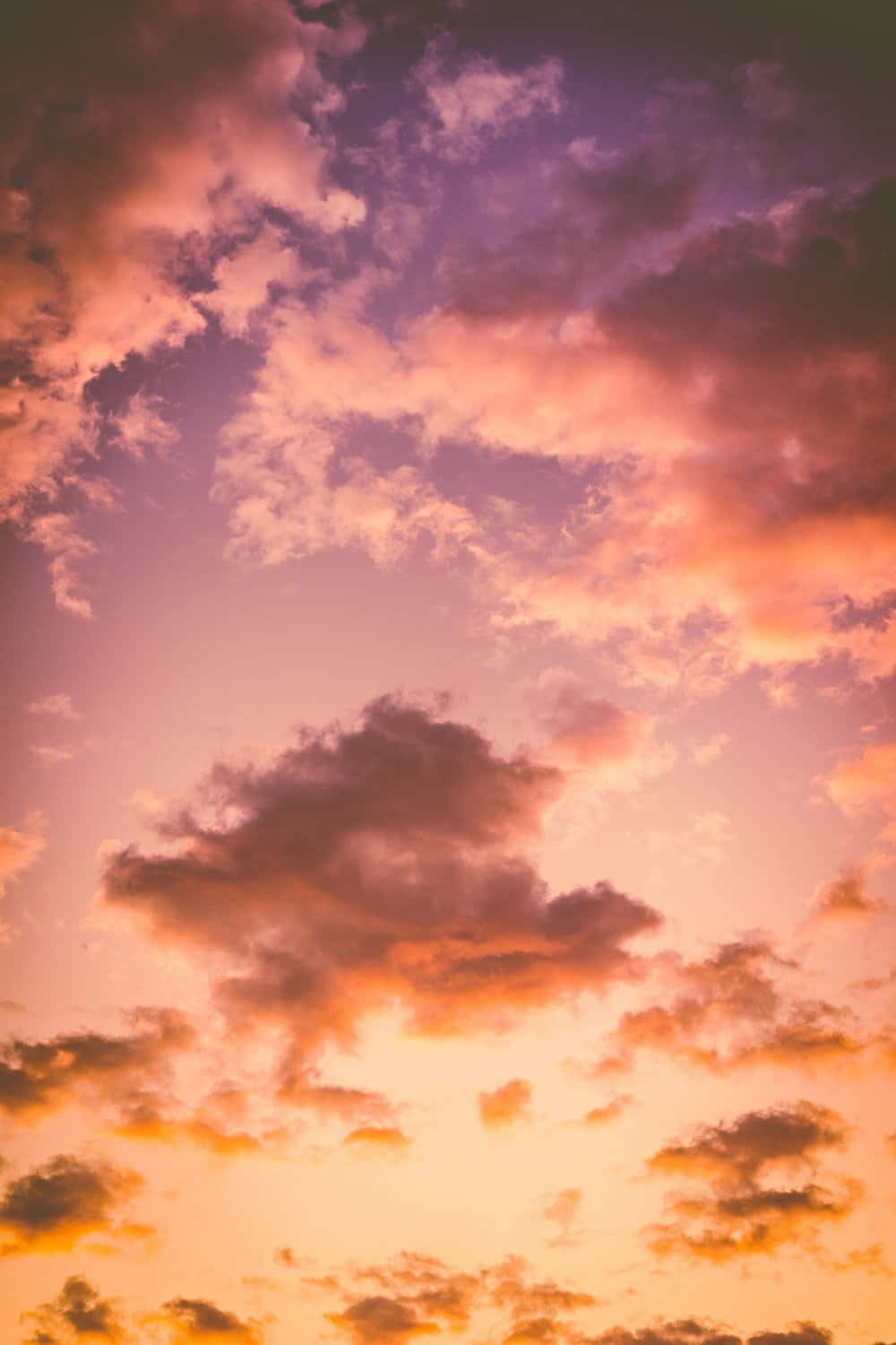Sunset Photography 桌布 壁紙 — 令人嘆為觀止的日落天空，以火熱的橙色、粉紅色和紫色雲彩繪製，映襯著柔和的漸變地平線。