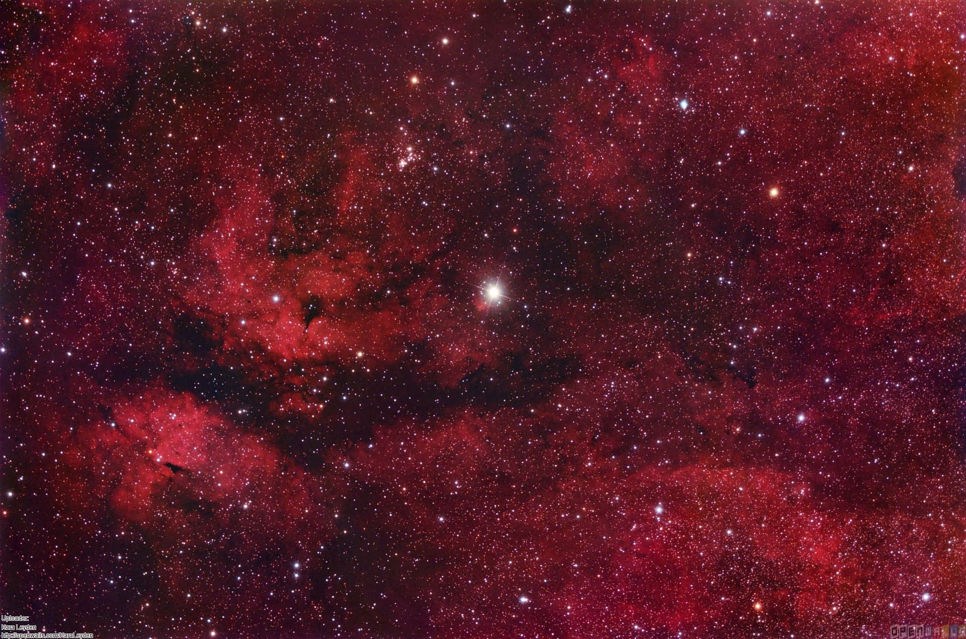 Red Space 桌布 壁紙 — 令人嘆為觀止的深紅色星雲景觀，充滿無數恆星和黑暗的宇宙塵埃雲。