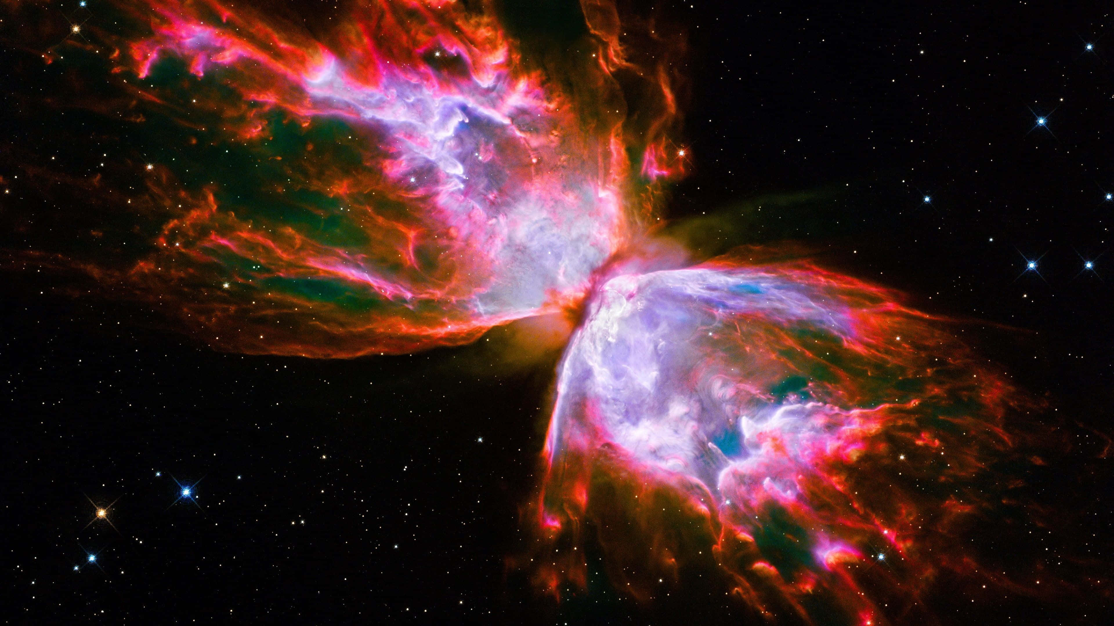Planetary Nebula 桌布 壁紙 — 令人嘆為觀止的蝴蝶星雲景色，在繁星點點的宇宙虛空中散發出火紅、粉紅和藍色的光芒。