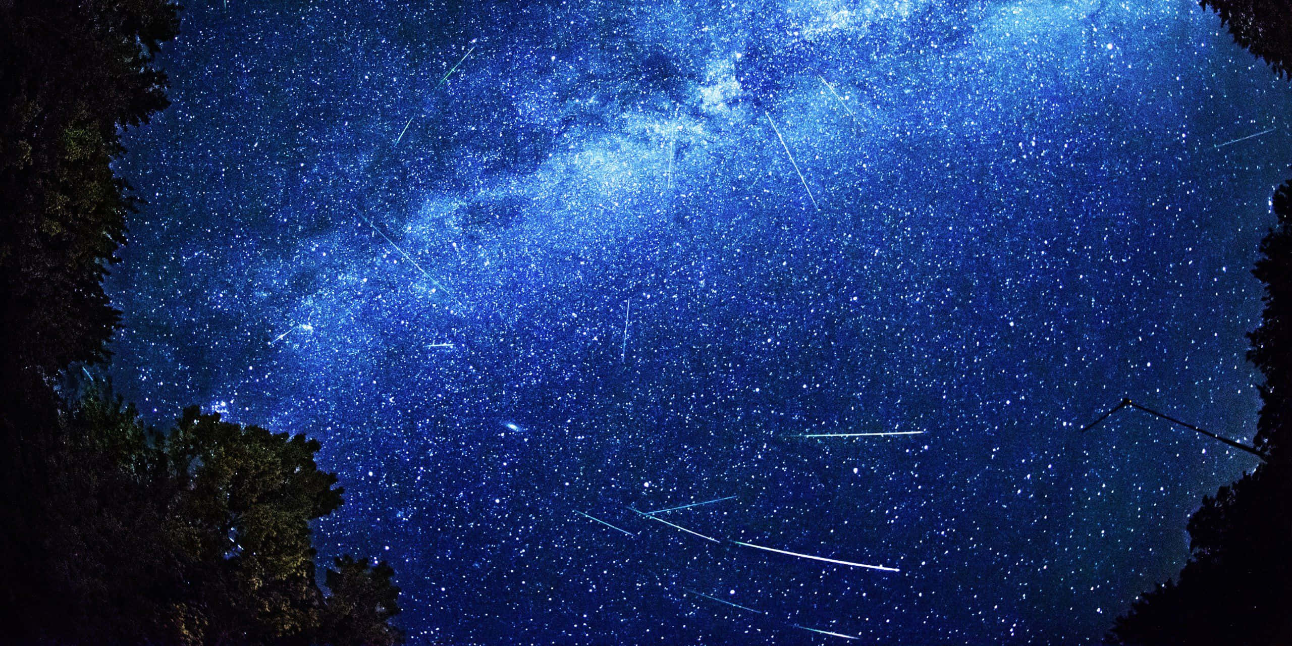 meteor 桌布 壁紙 — 令人嘆為觀止的銀河系在深藍色中發光，位於夜間黑暗森林樹冠之上。