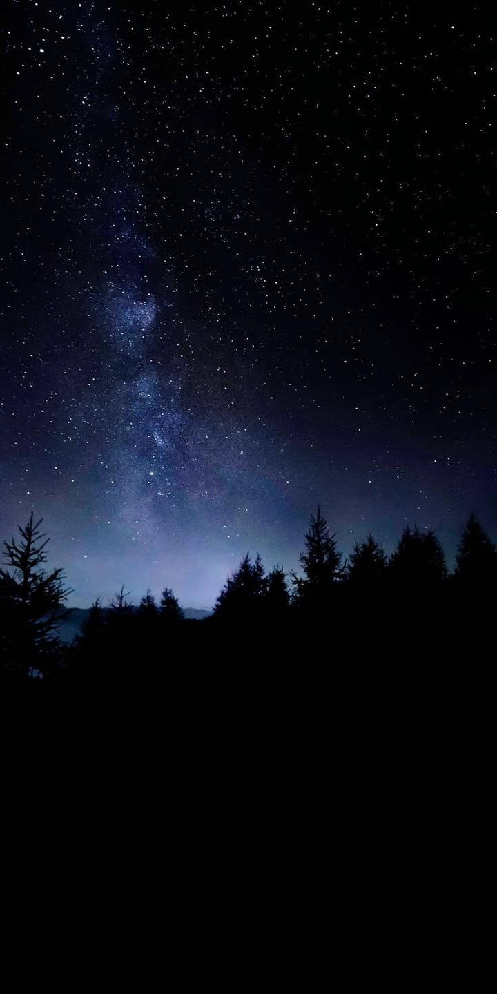 夜空 桌布 壁紙 — 令人嘆為觀止的銀河系景觀，在繁星點點的夜空下，拱形跨越黑暗的森林輪廓。