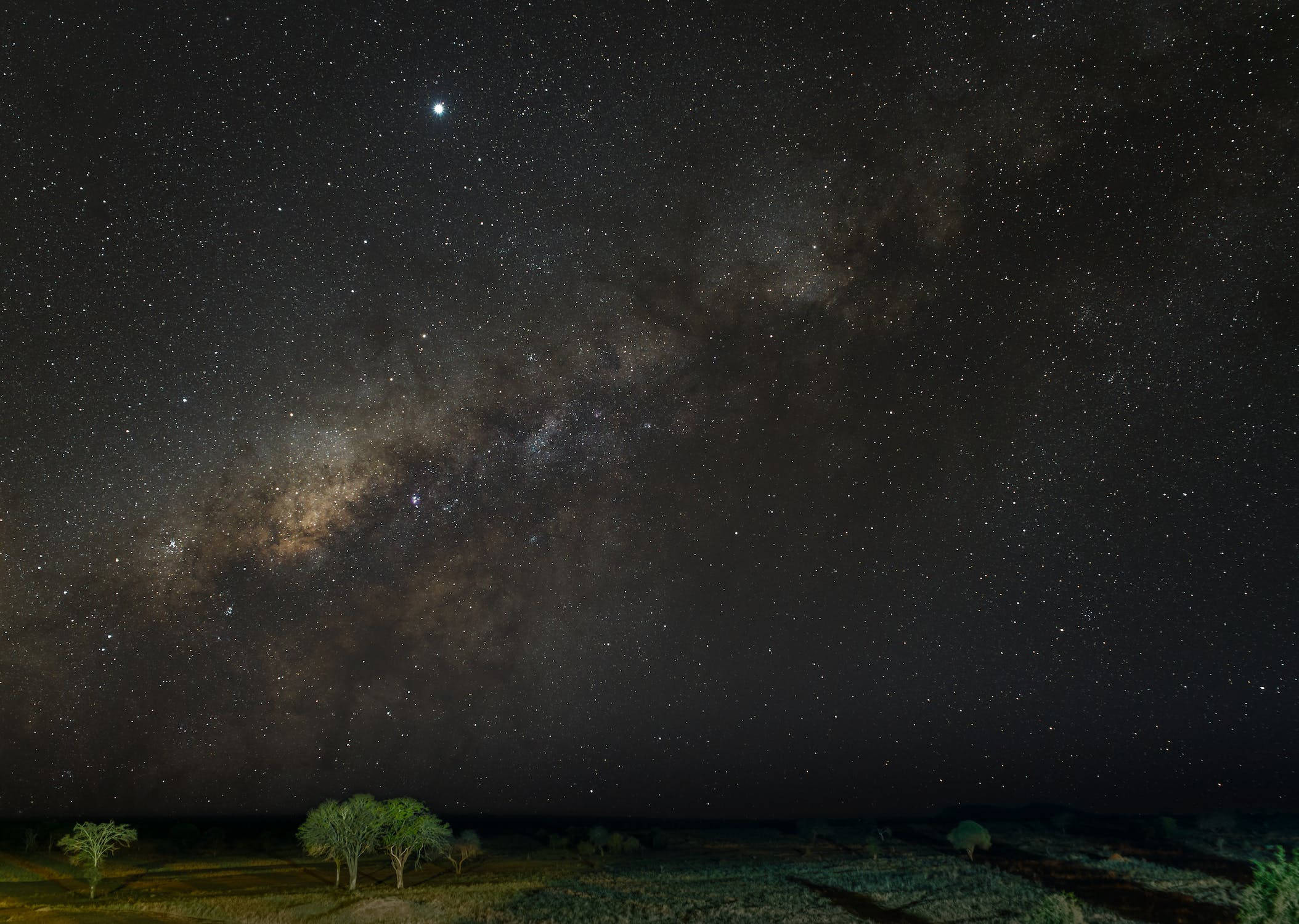 黑色動態圖 桌布 壁紙 — 令人屏息的夜空充滿無數星星，銀河在稀疏的沙漠景觀上拱起，樹木形成剪影。