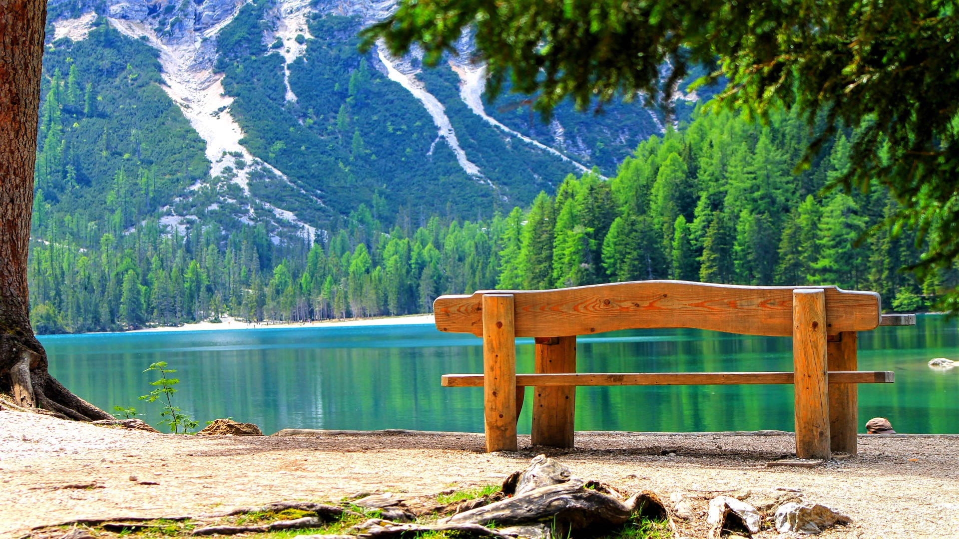 令人屏息的森林風景 壁紙 — 一張木凳誘人地放在一個碧綠色的湖邊，周圍是高聳的綠色山脈和茂密的松樹林。