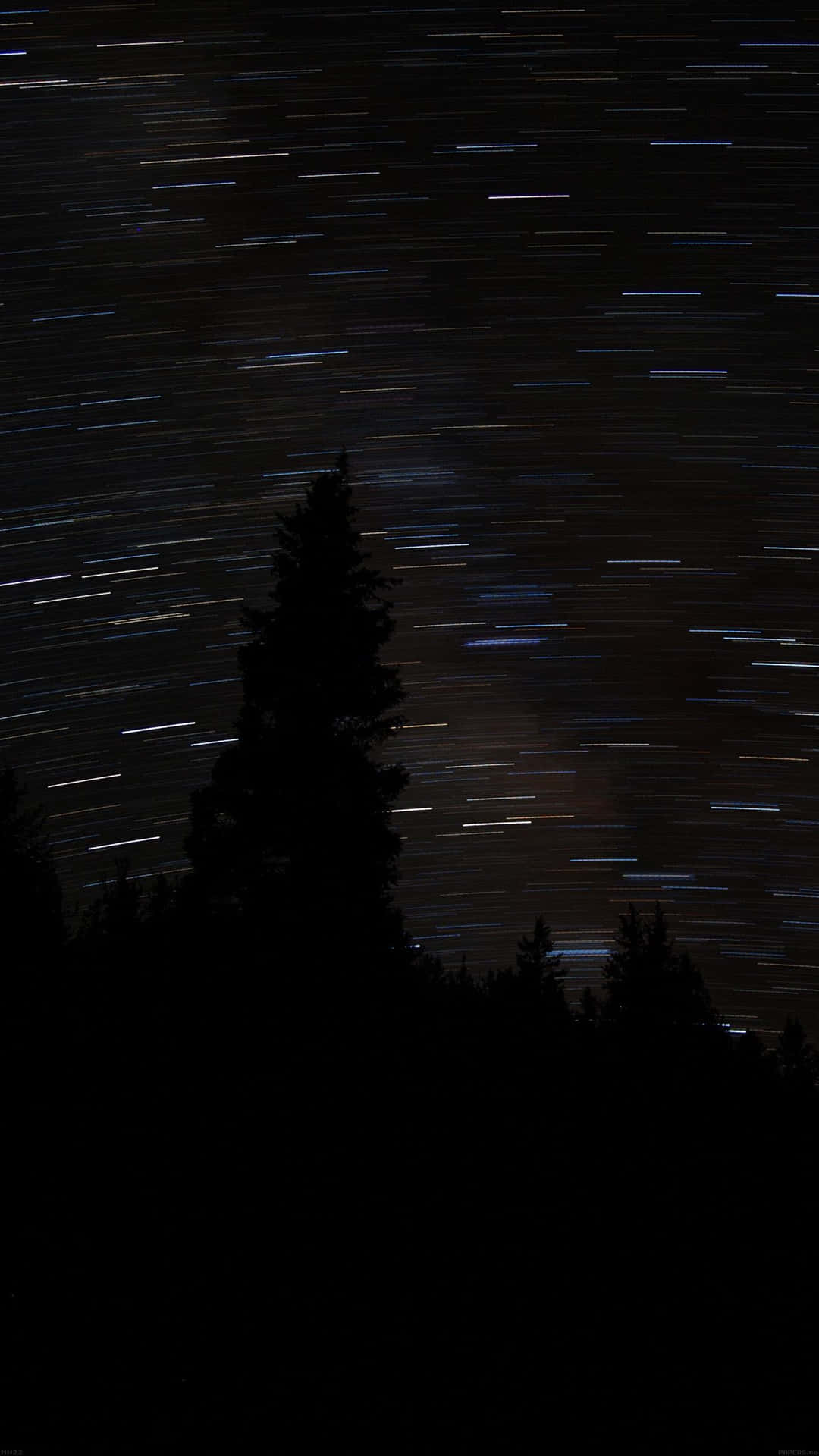 星軌在黑暗松樹剪影上方的夜空劃出弧線。