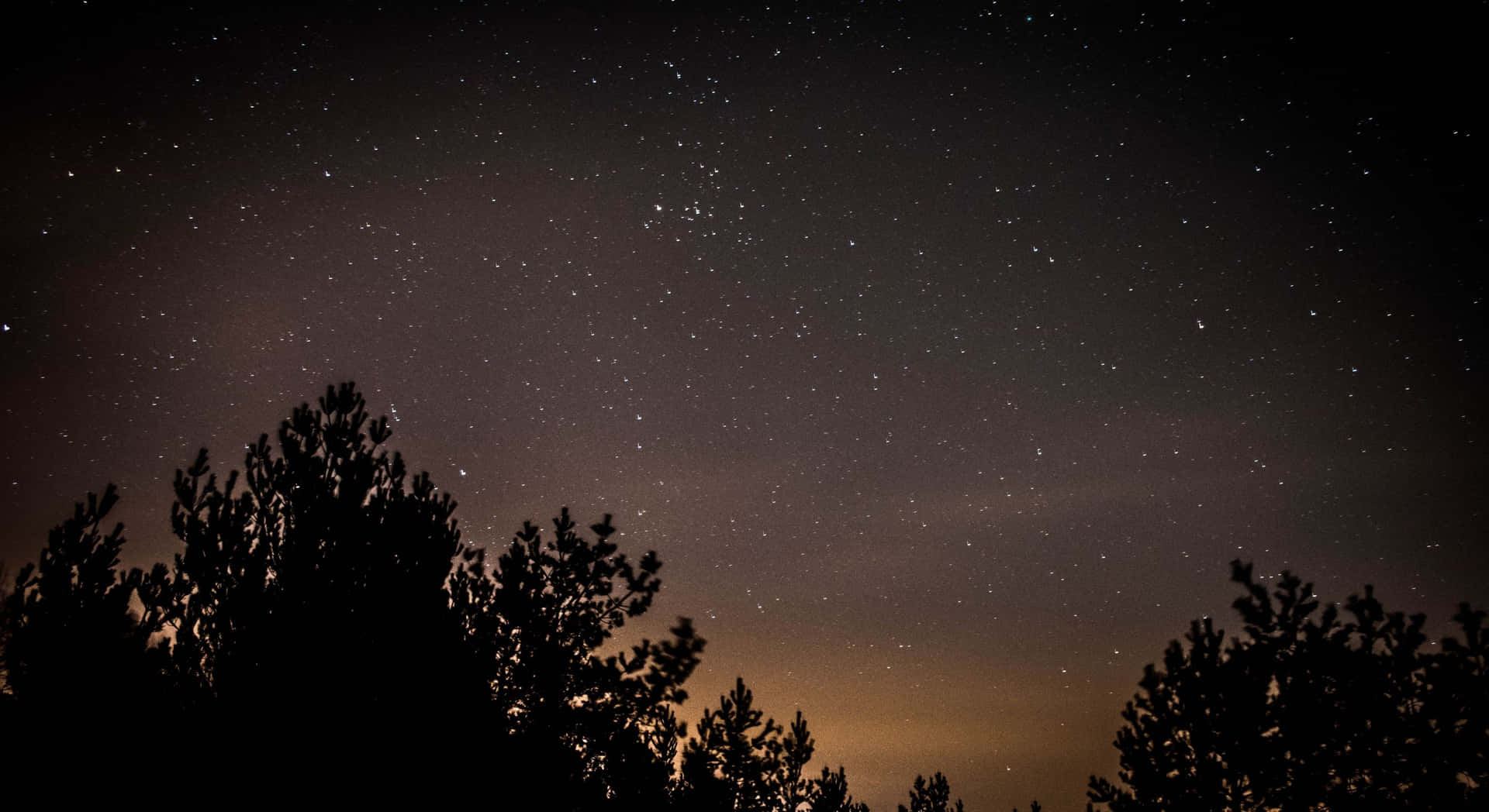 深色松樹剪影，背景是星空夜空和微弱的橙色光芒。