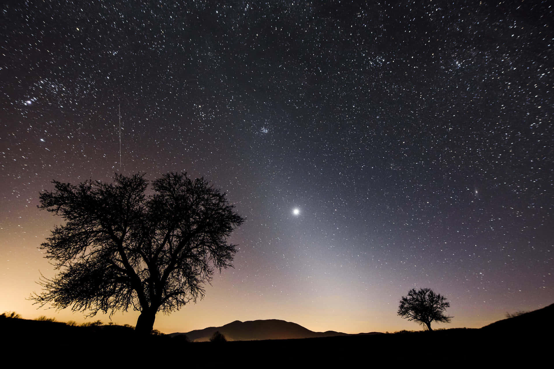 兩棵樹的剪影，背景是繁星點點的夜空，有一顆發光的行星和微弱的極光。
