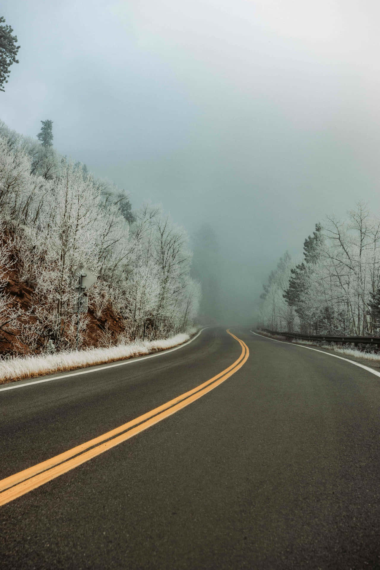 冬季濃霧中穿過雪林的蜿蜒道路。