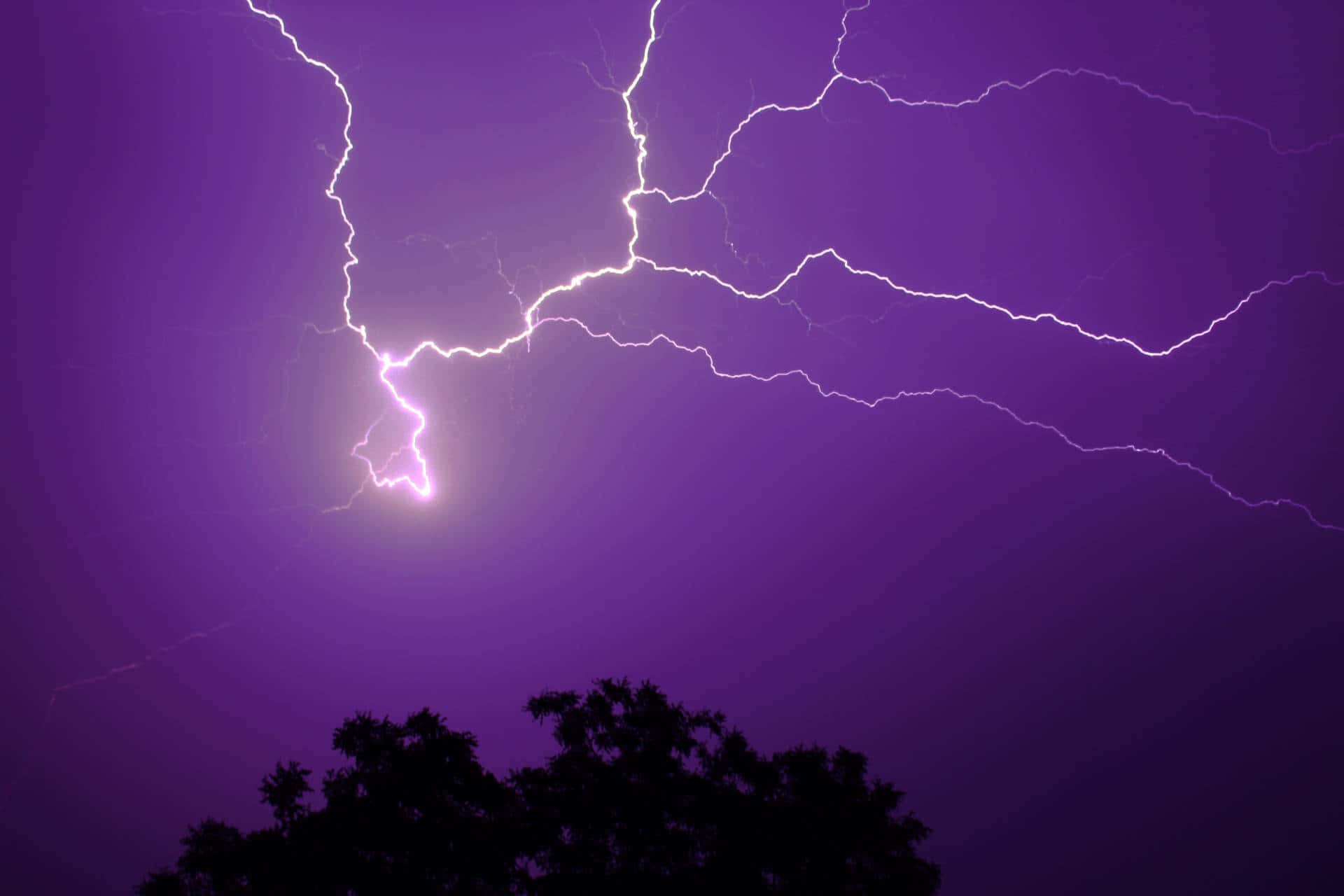 紫色暴風雨天空，明亮的閃電和樹木剪影