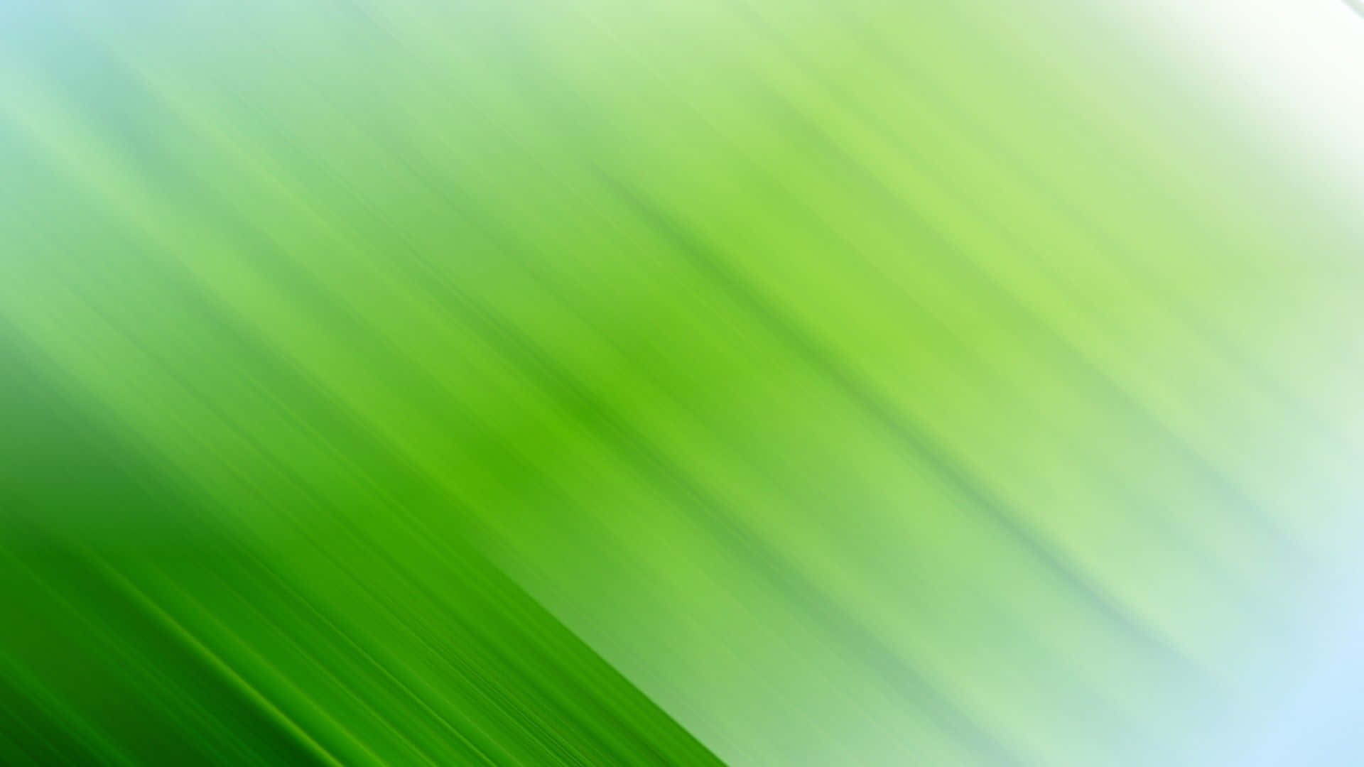 令人著迷的翠綠抽象背景 壁紙 — 充滿活力的綠色抽象條紋在從深綠色到淺綠色的漸變背景上對角模糊。